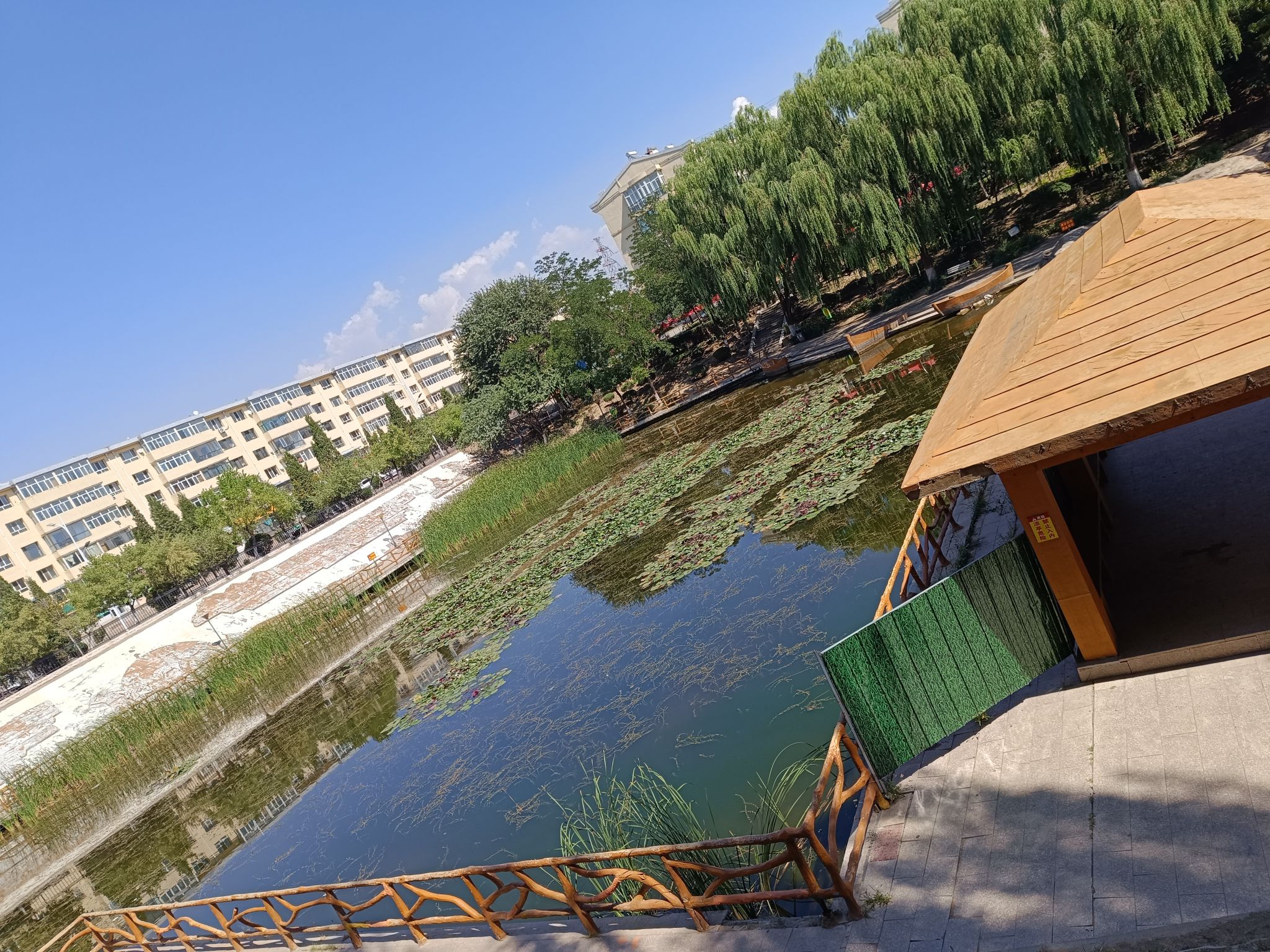 黄金社区反邪教法治广场旅行图片 1