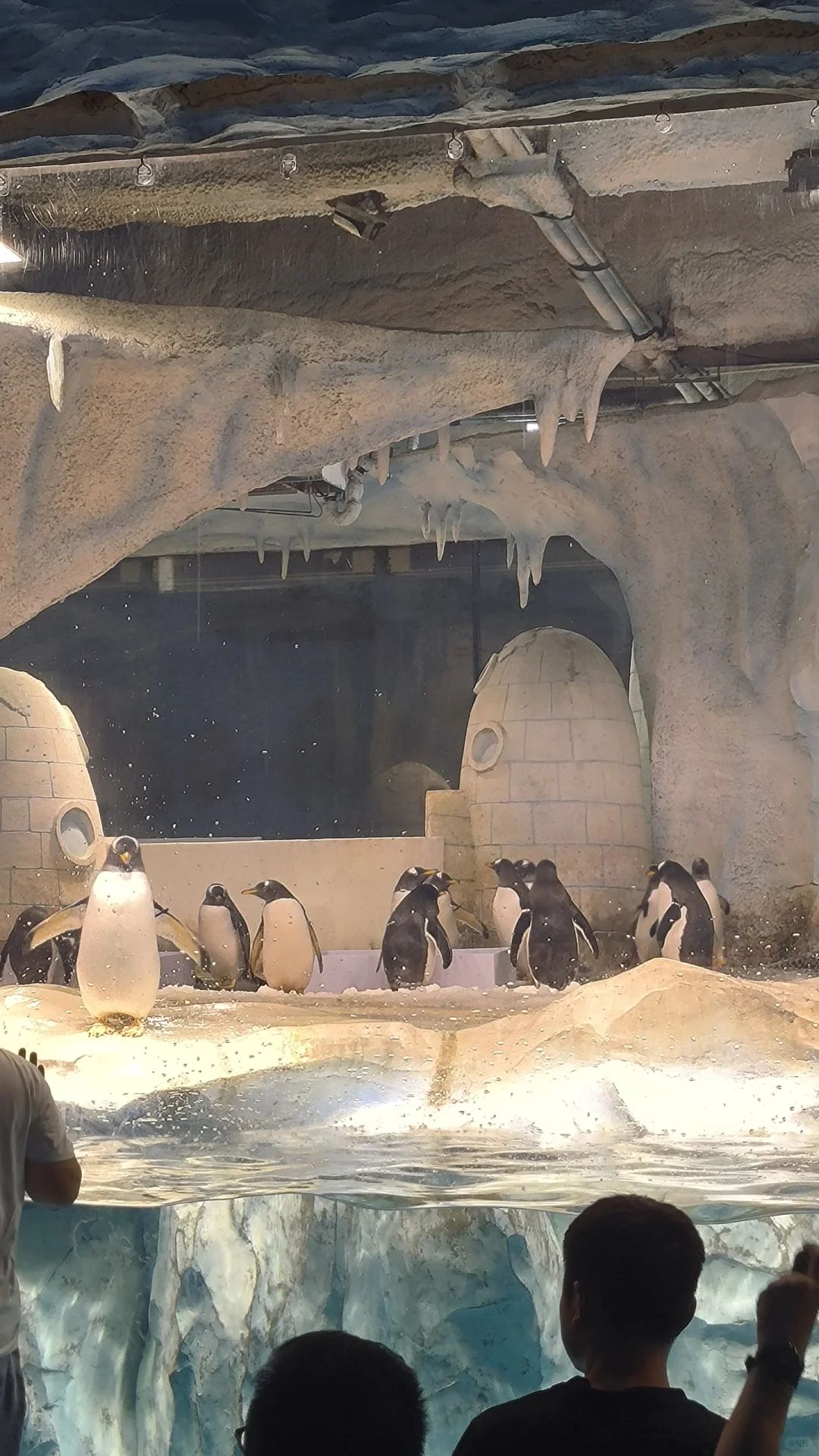 淮安龙宫大白鲸极地海洋馆旅行图片 2
