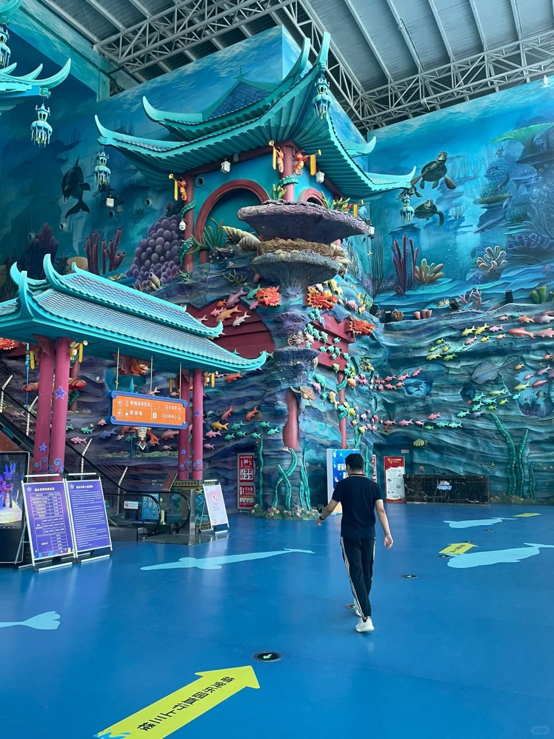 淮安龙宫大白鲸极地海洋馆旅行图片 1