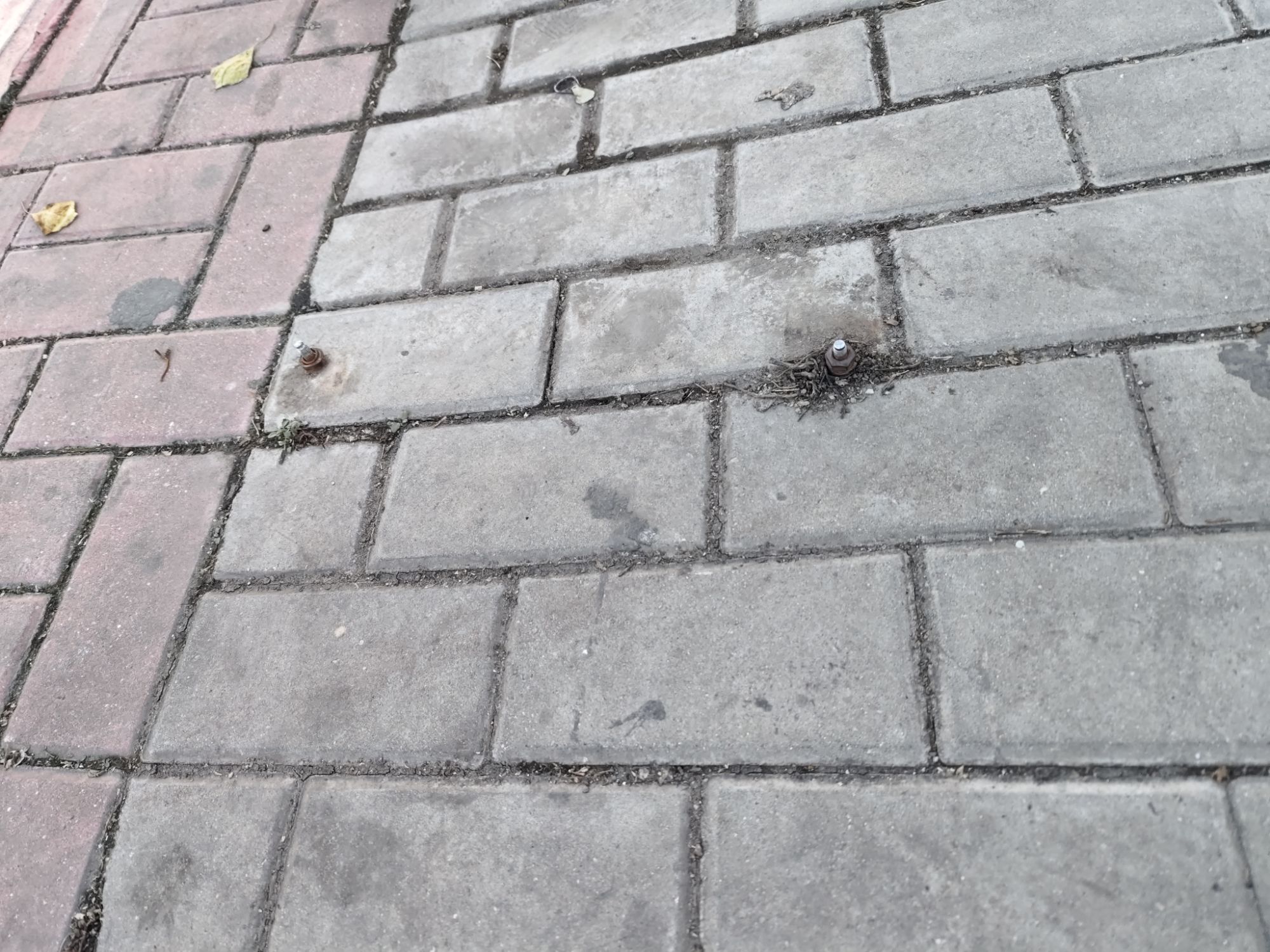 庆都公园旅行图片 1
