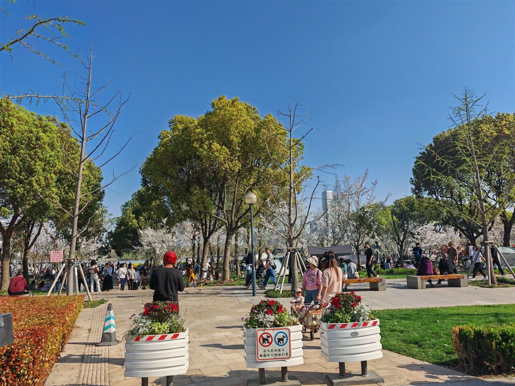 上海市滨江滑板公园旅行图片 2
