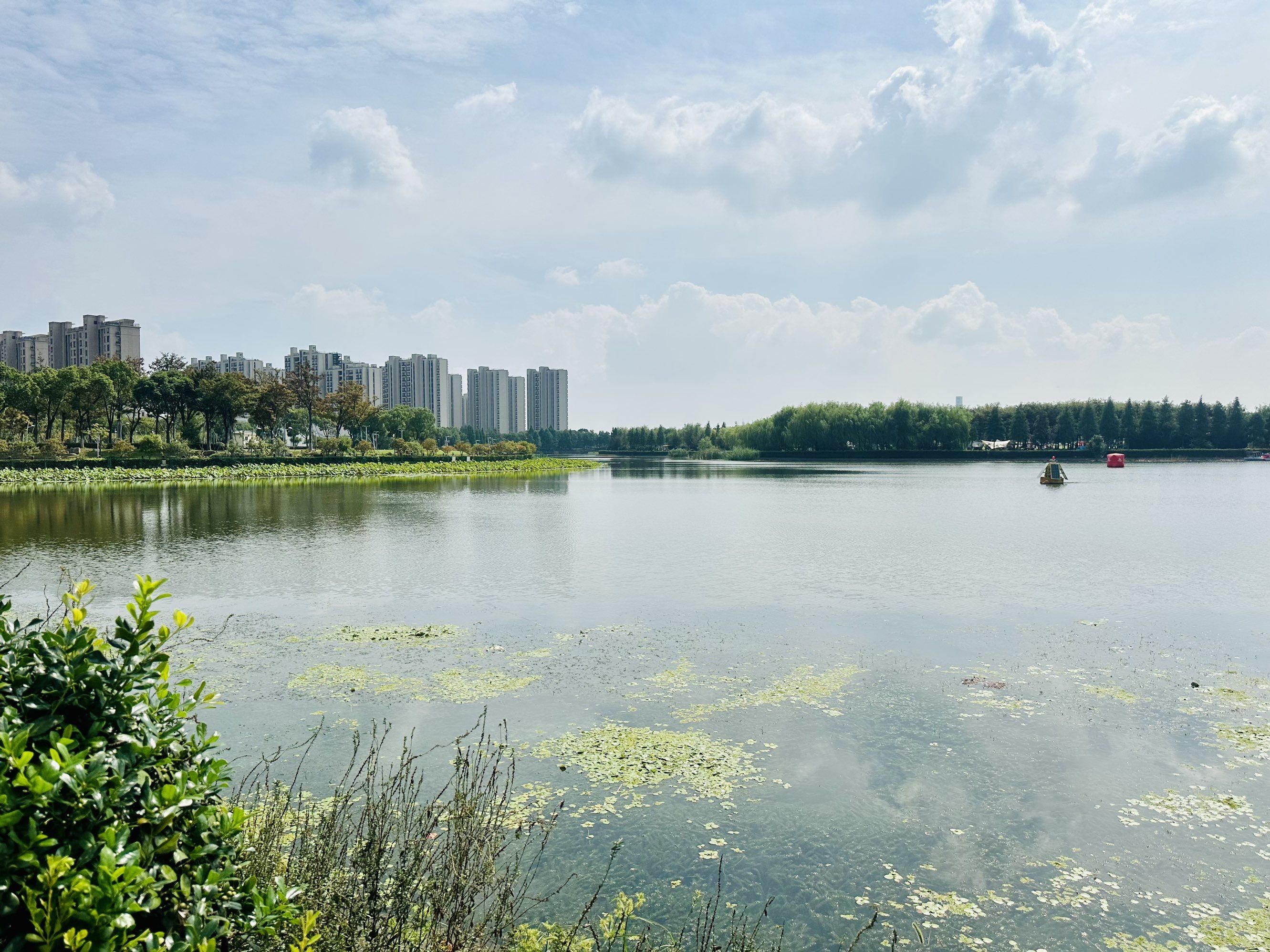 金水湖国家湿地公园