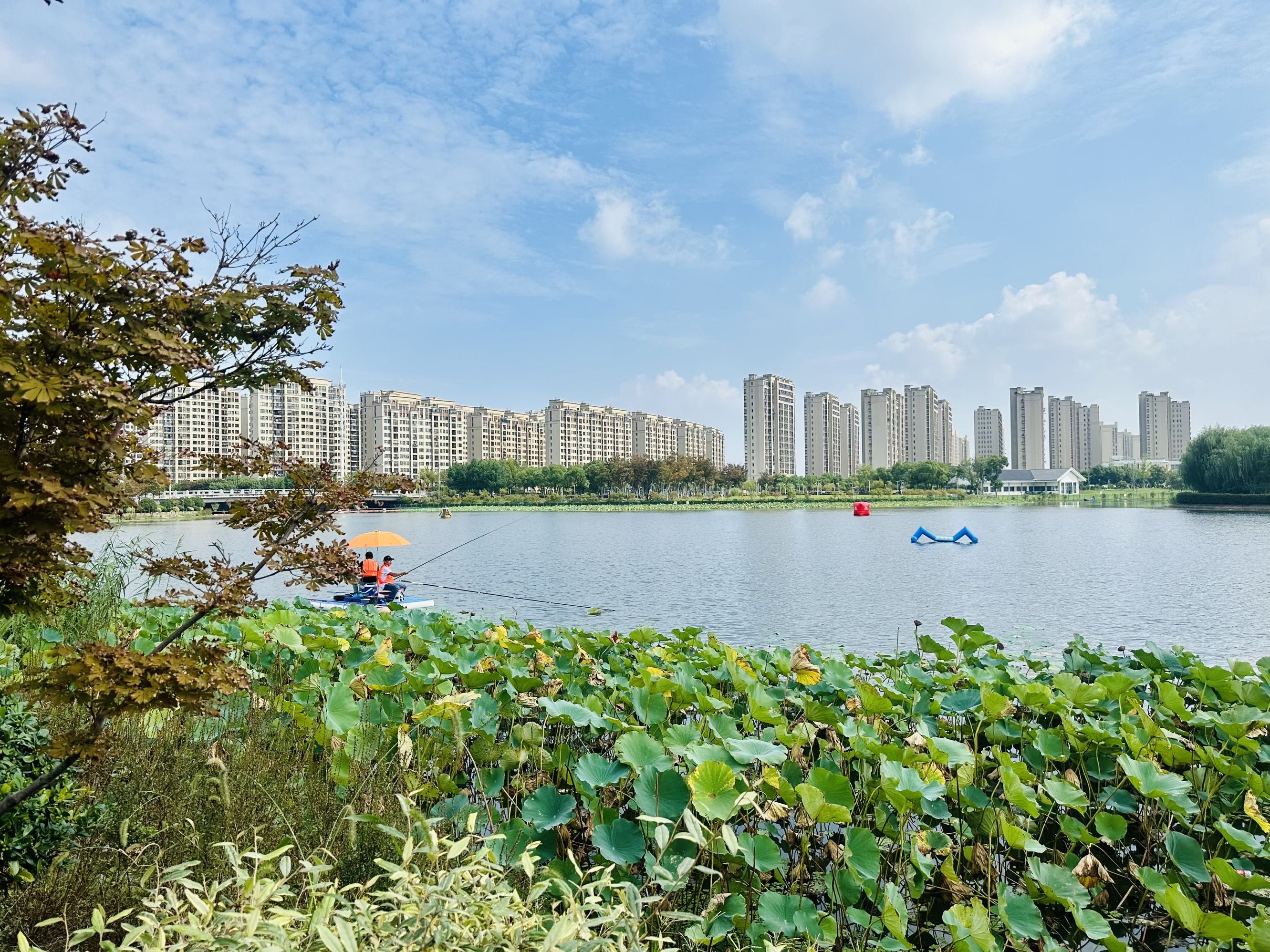 金水湖国家湿地公园旅行图片 1