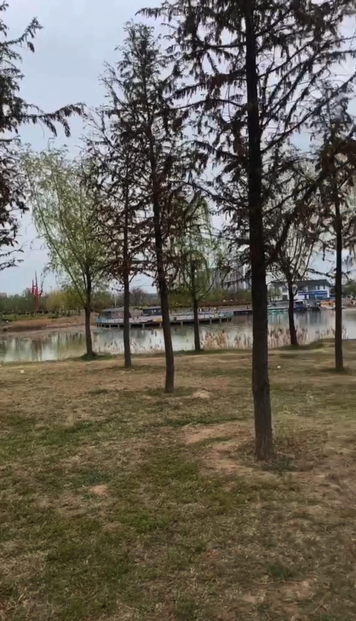金水湖国家湿地公园旅行图片 3