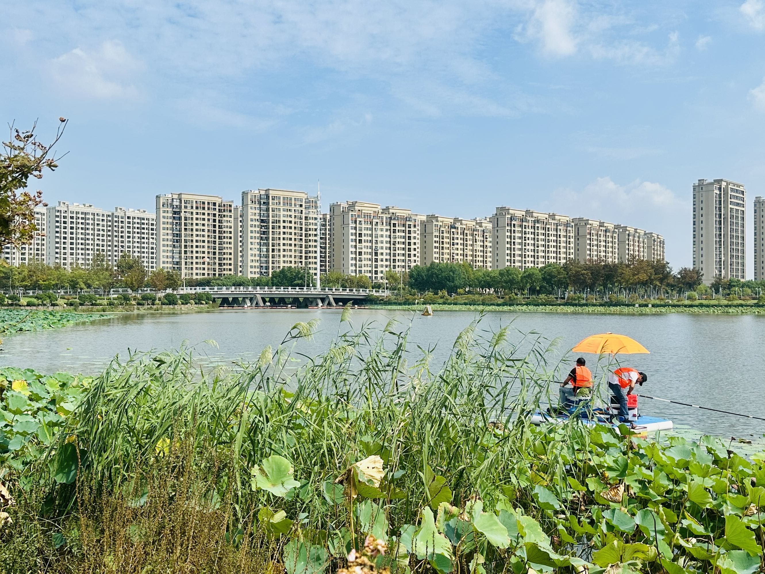 金水湖国家湿地公园