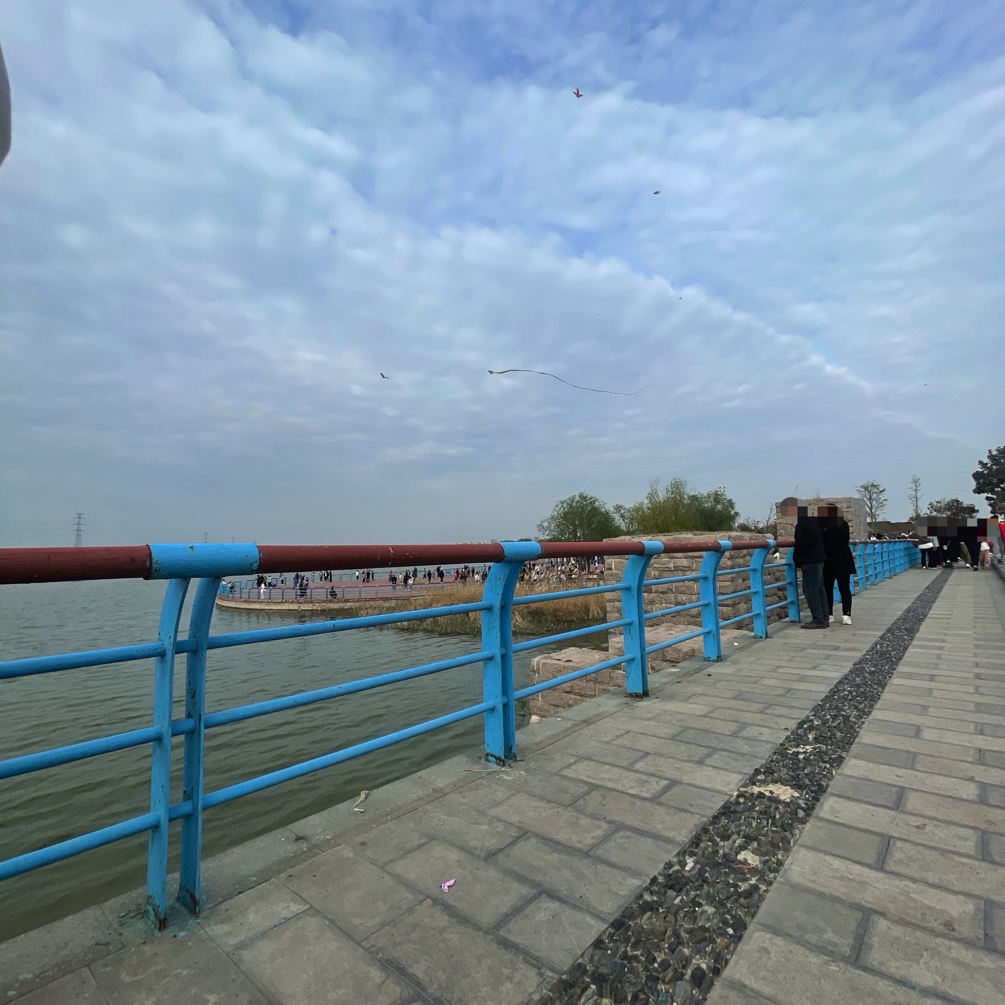 金水湖国家湿地公园旅行图片 1