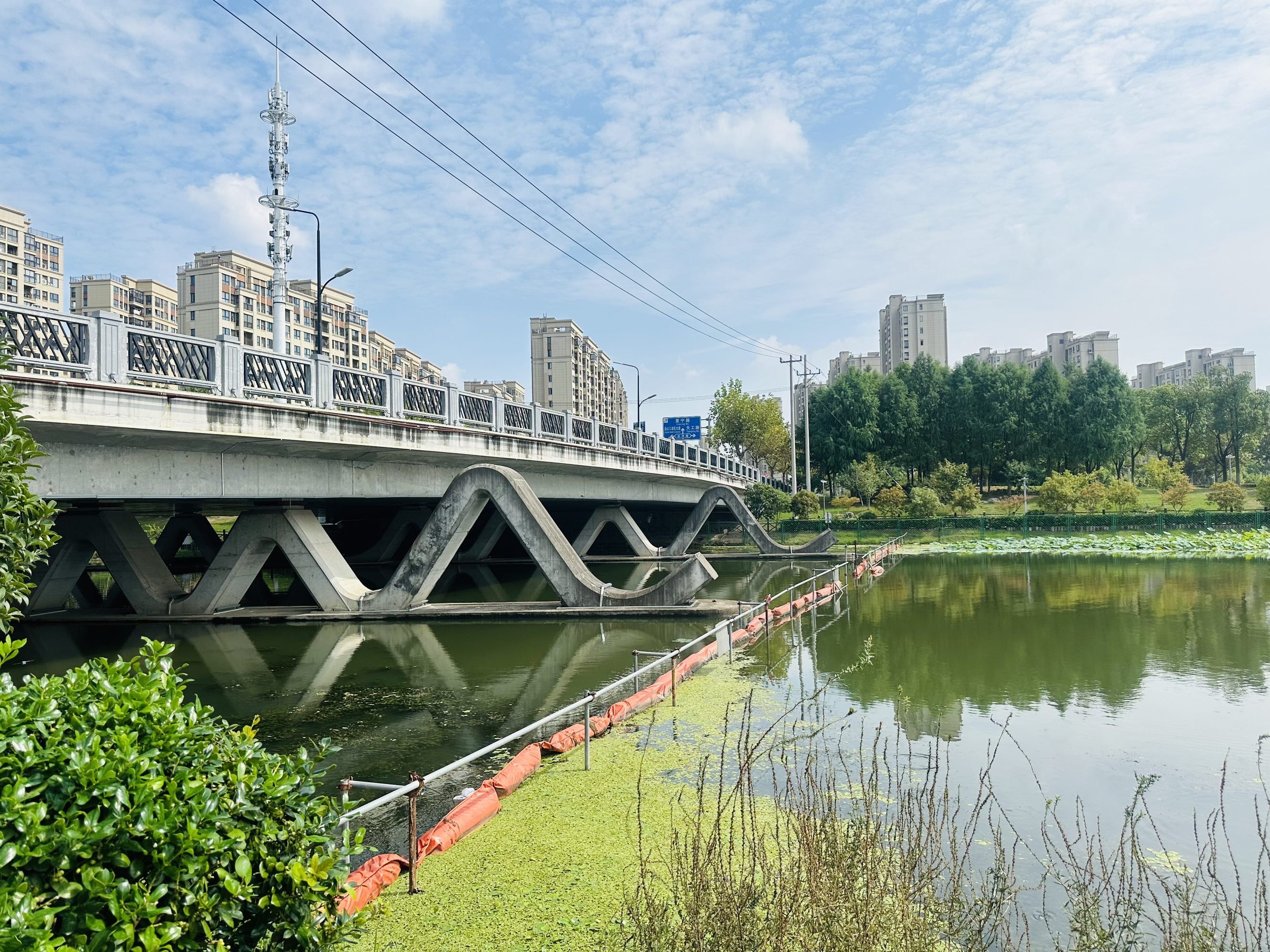 金水湖国家湿地公园旅行图片 2