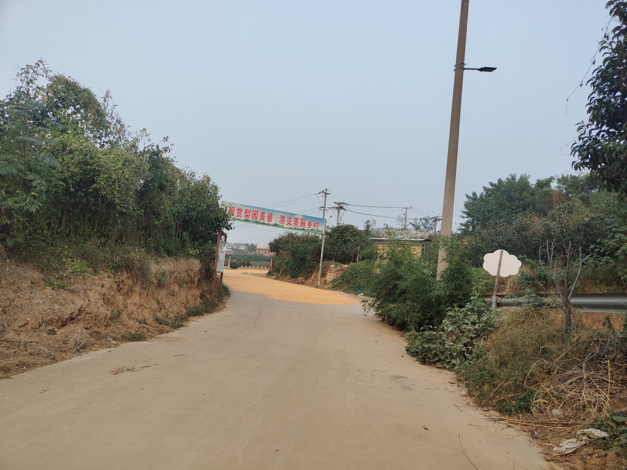 孟津梨主题公园旅行图片 2