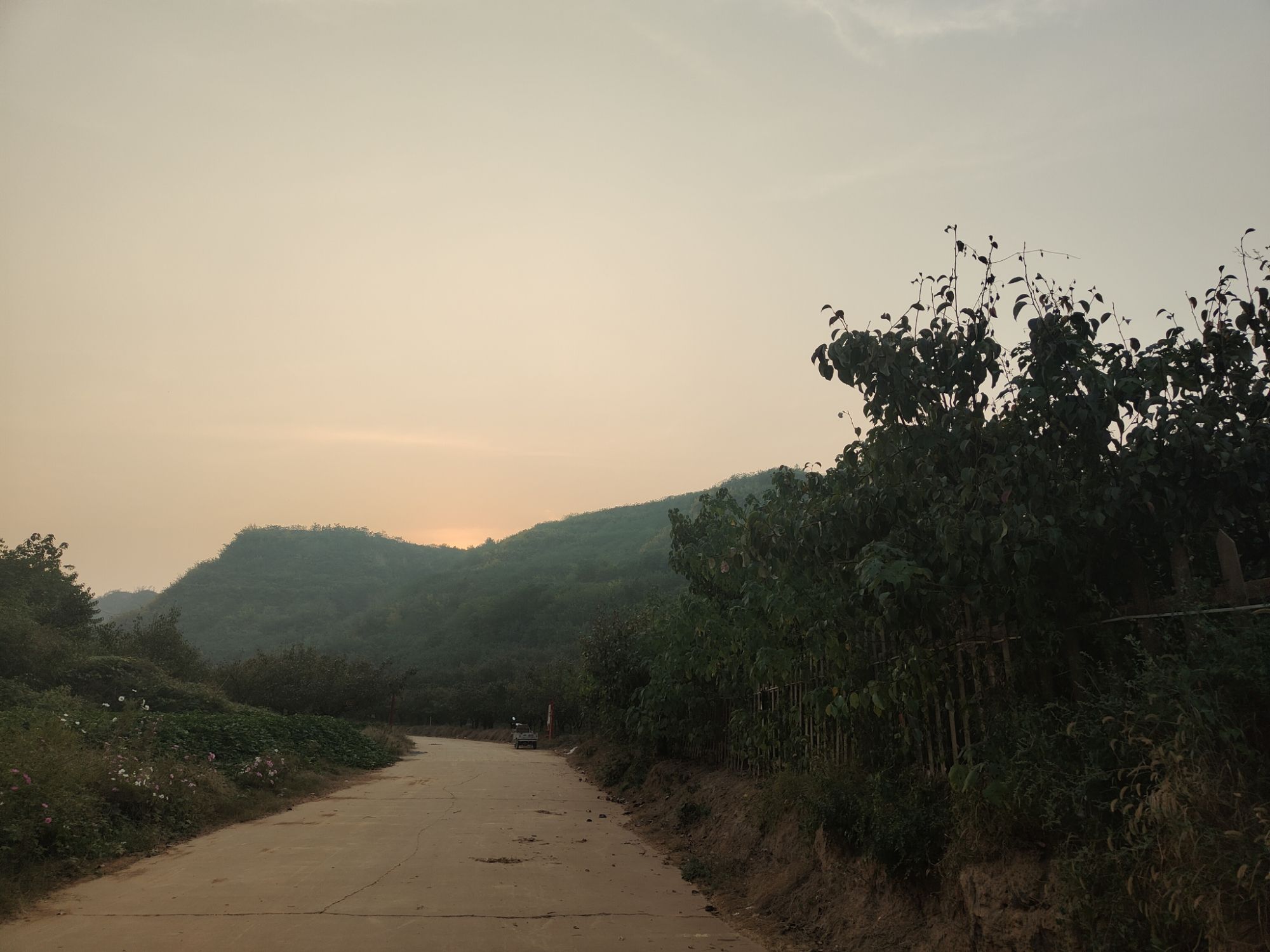 孟津梨主题公园旅行图片 3