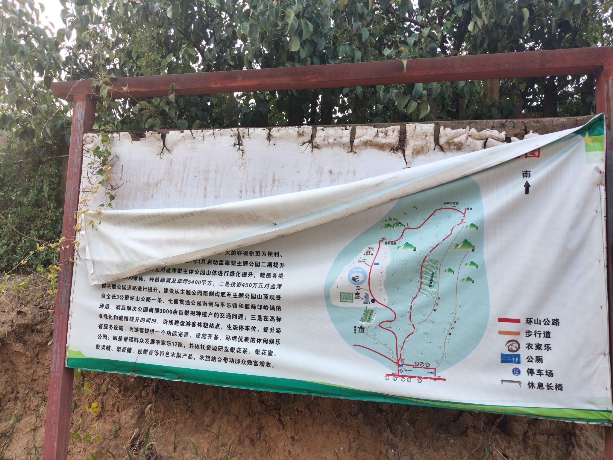 孟津梨主题公园旅行图片 1