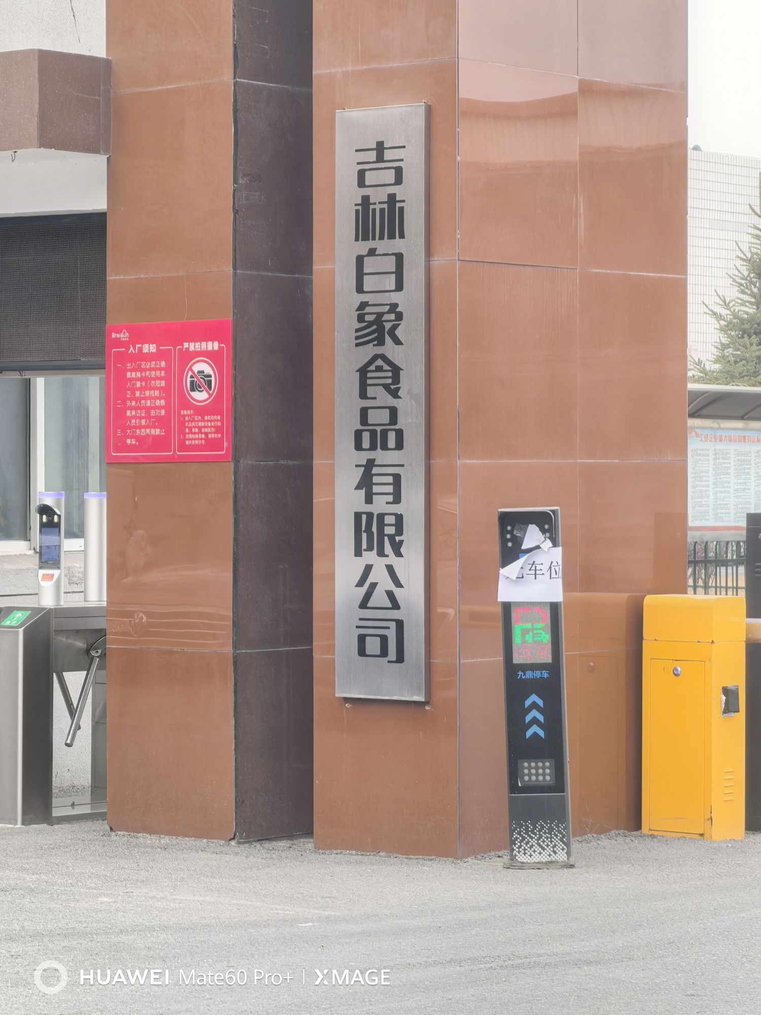 白象食品