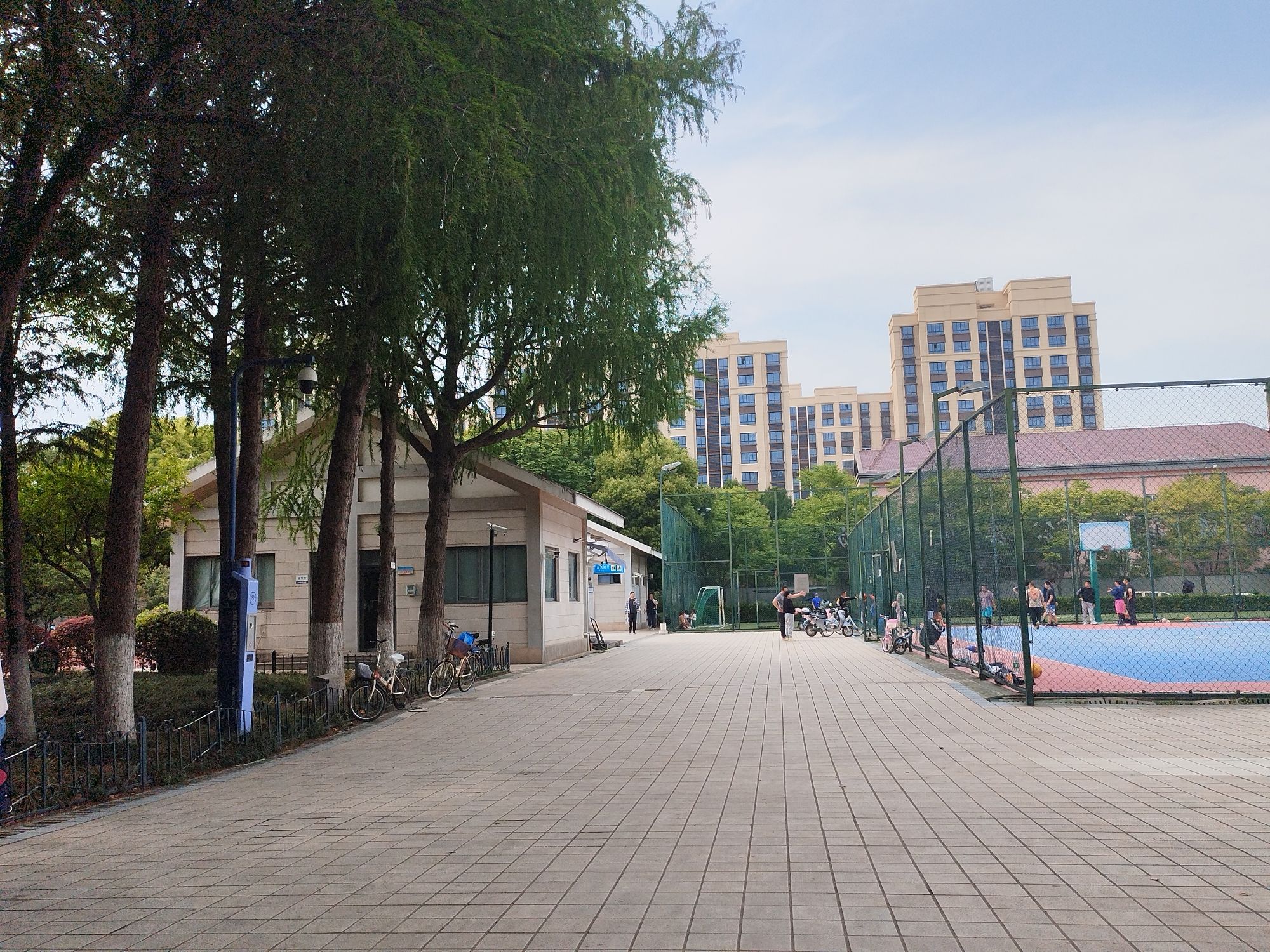西渡公园旅行图片 2