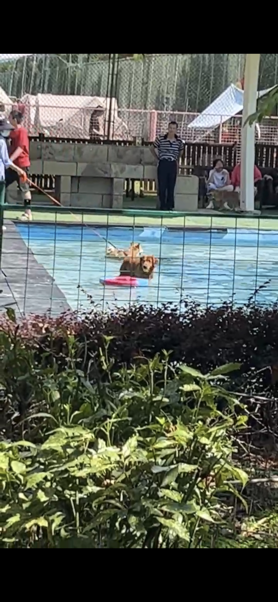 申亚生态林旅行图片 2