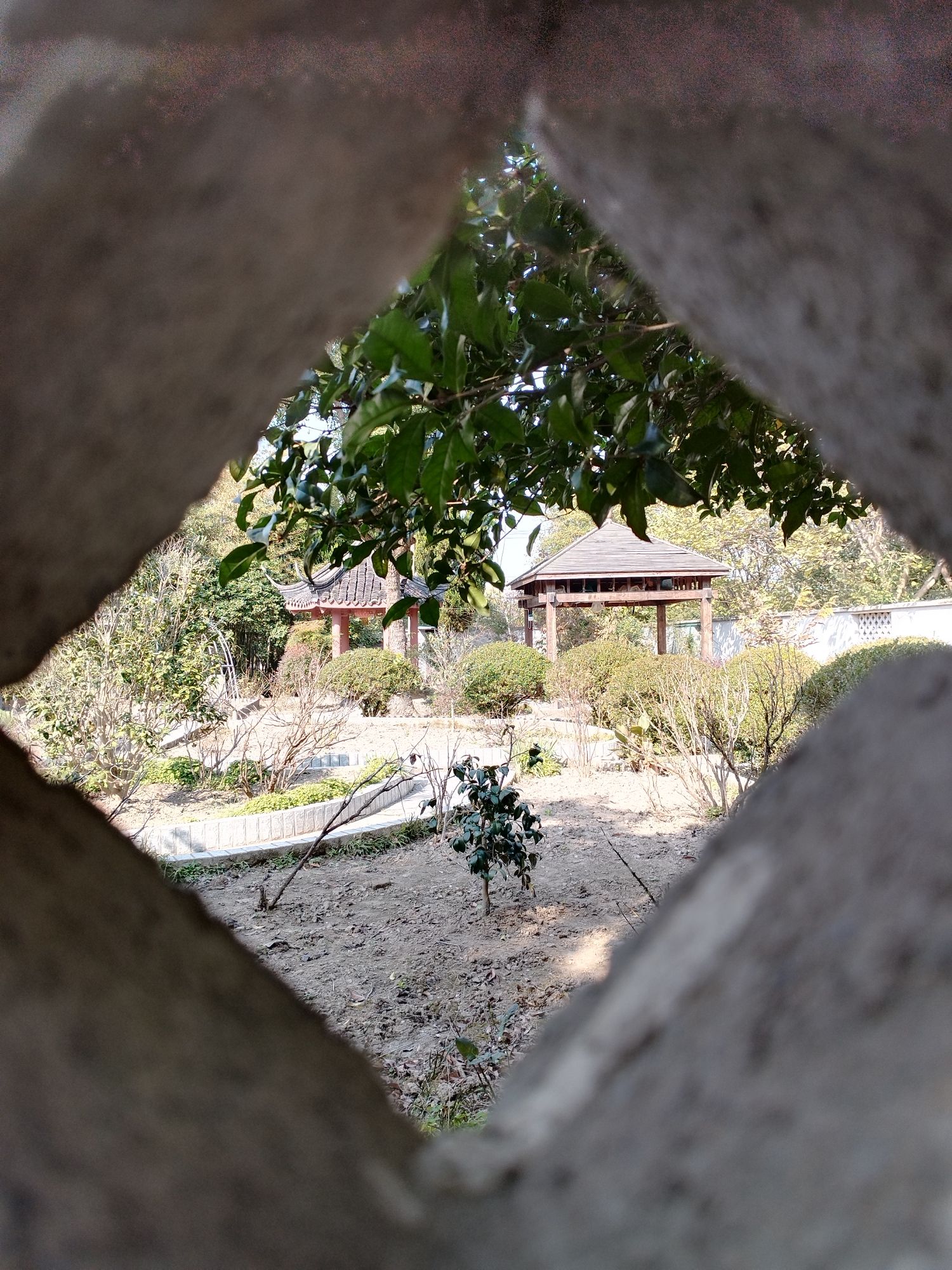 明代牡丹苑旅行图片 2