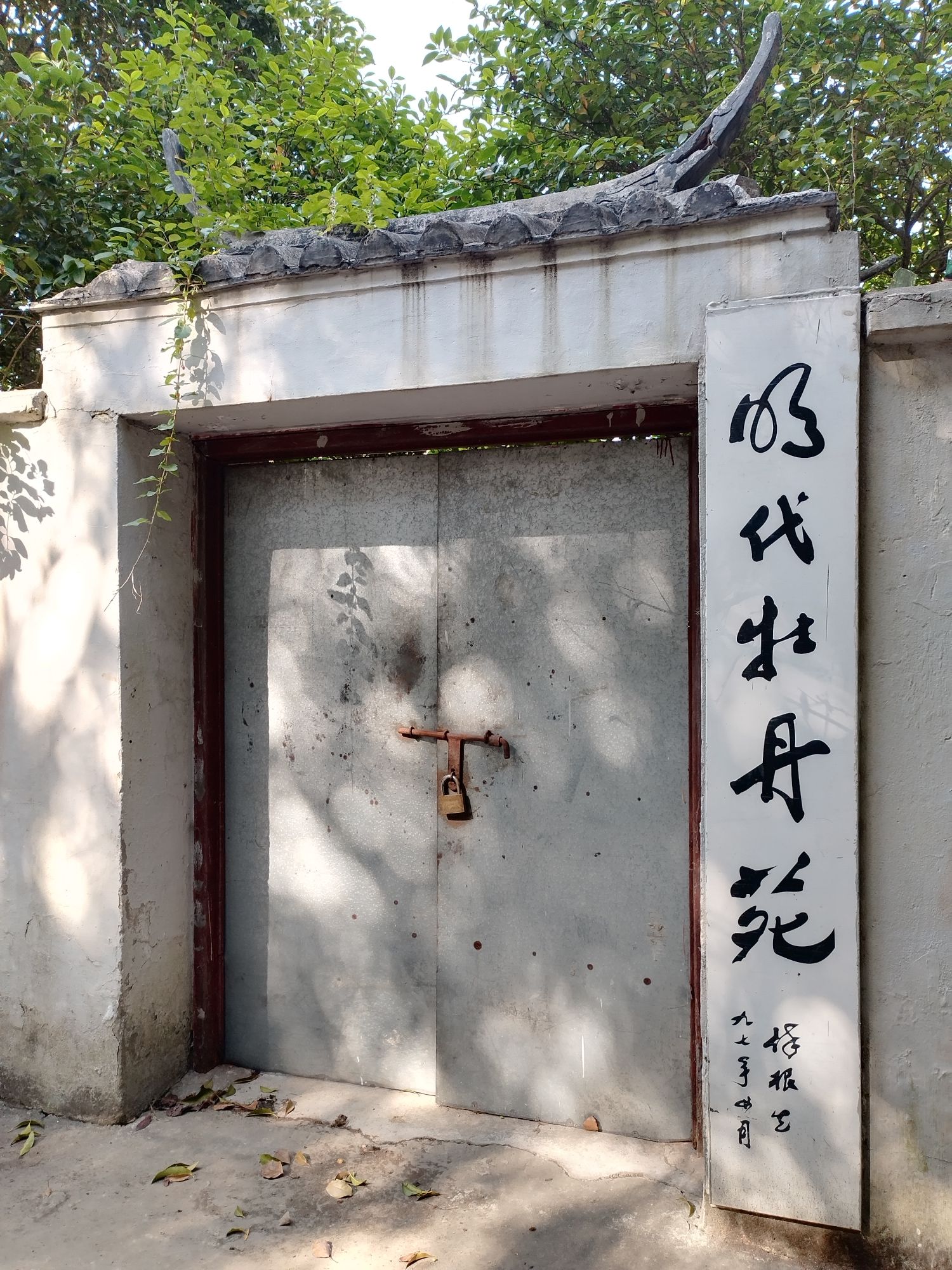 明代牡丹苑旅行图片 1