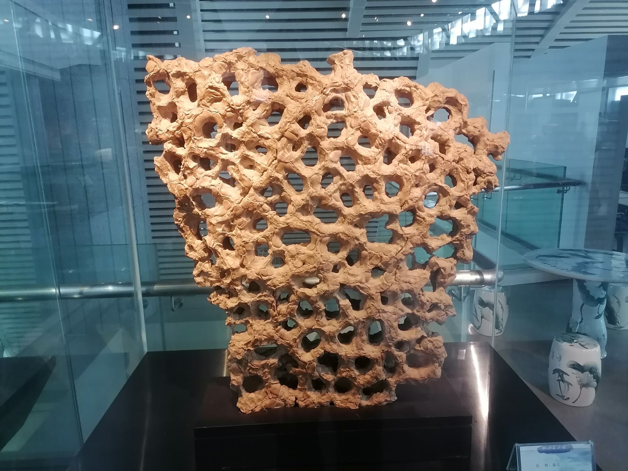 柳州马鹿山奇石博览园旅行图片 3