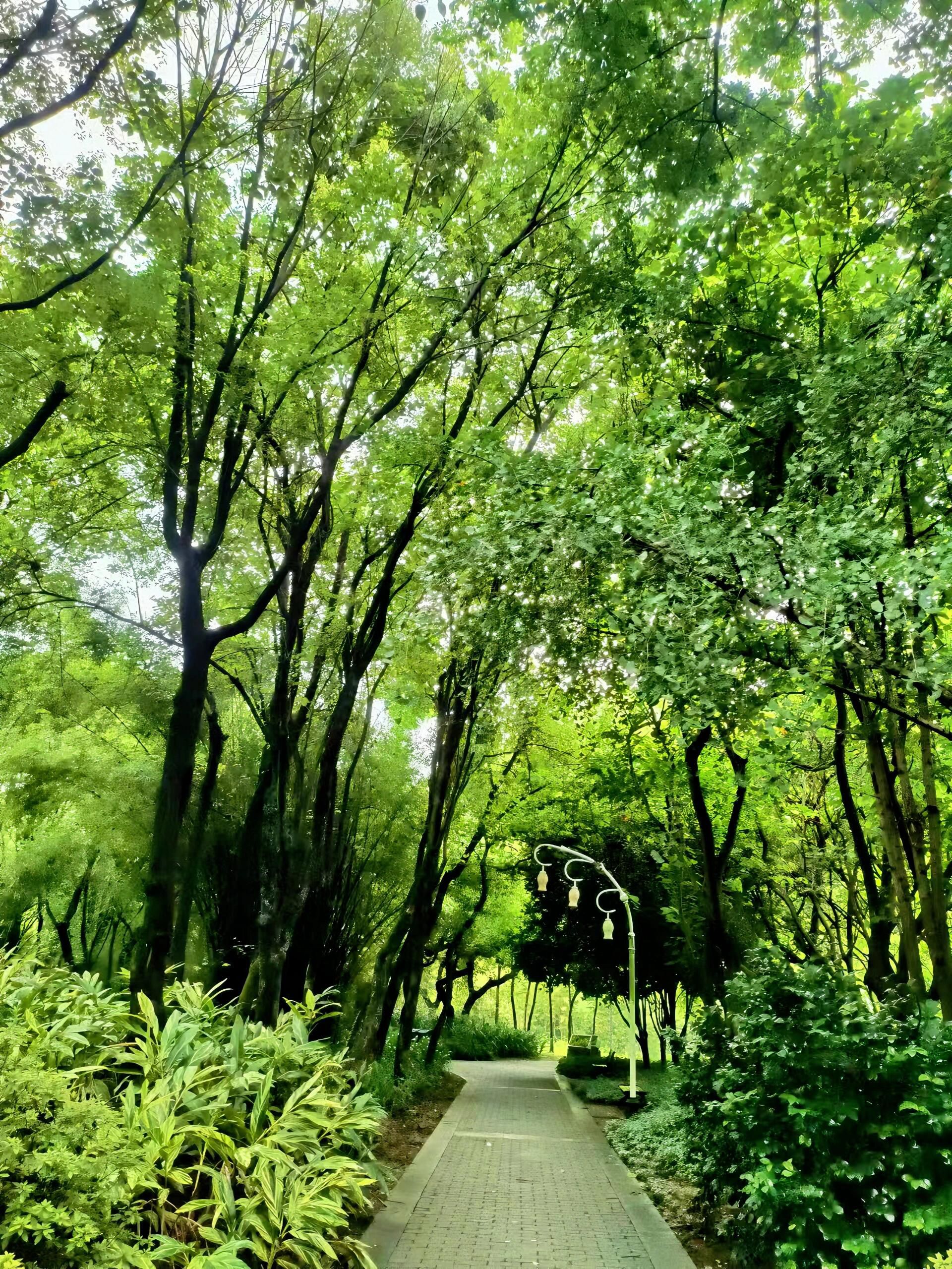 柳州马鹿山奇石博览园旅行图片 2