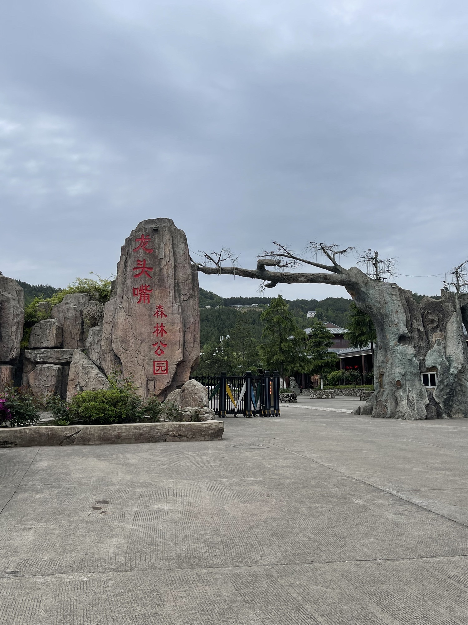 紫水乡龙头嘴森林公园旅行图片 1