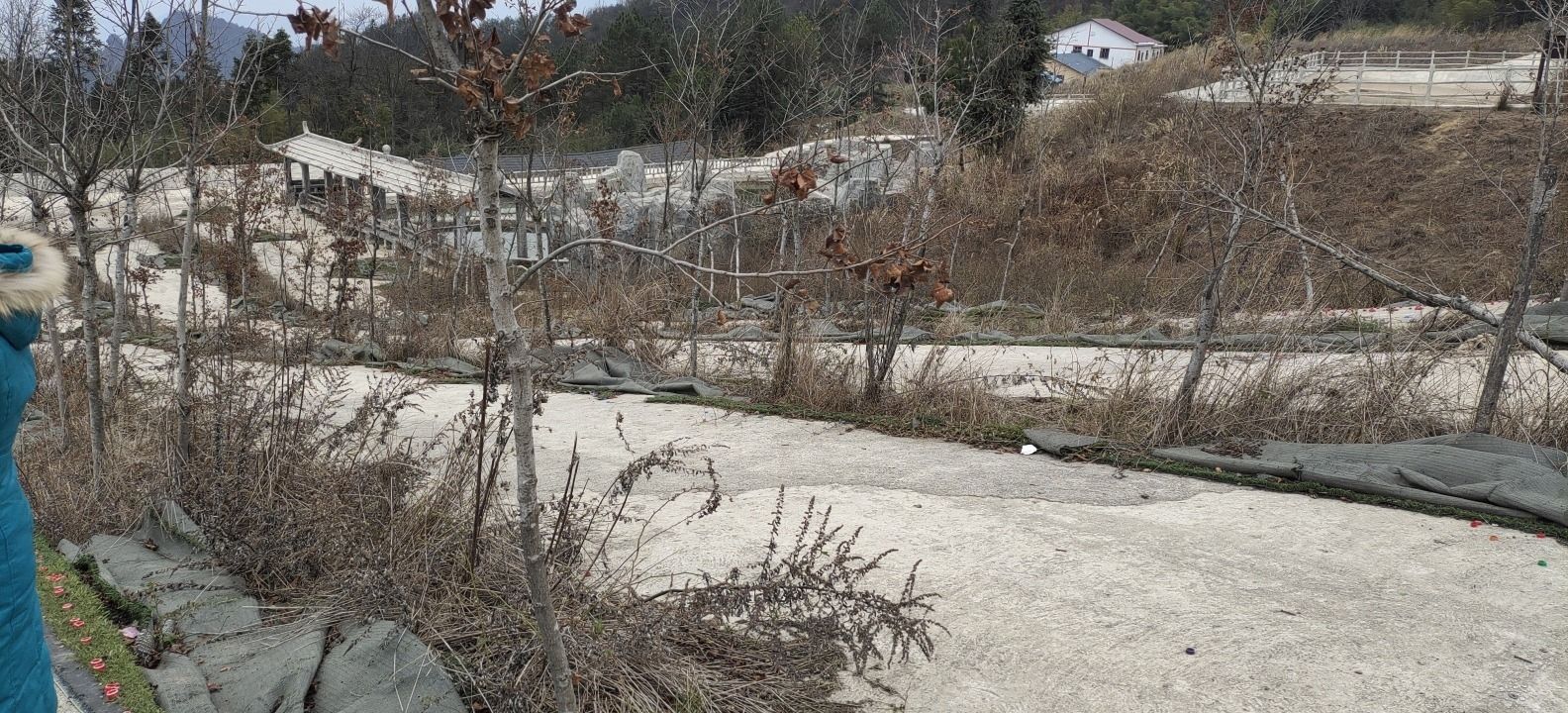 紫水乡龙头嘴森林公园旅行图片 1