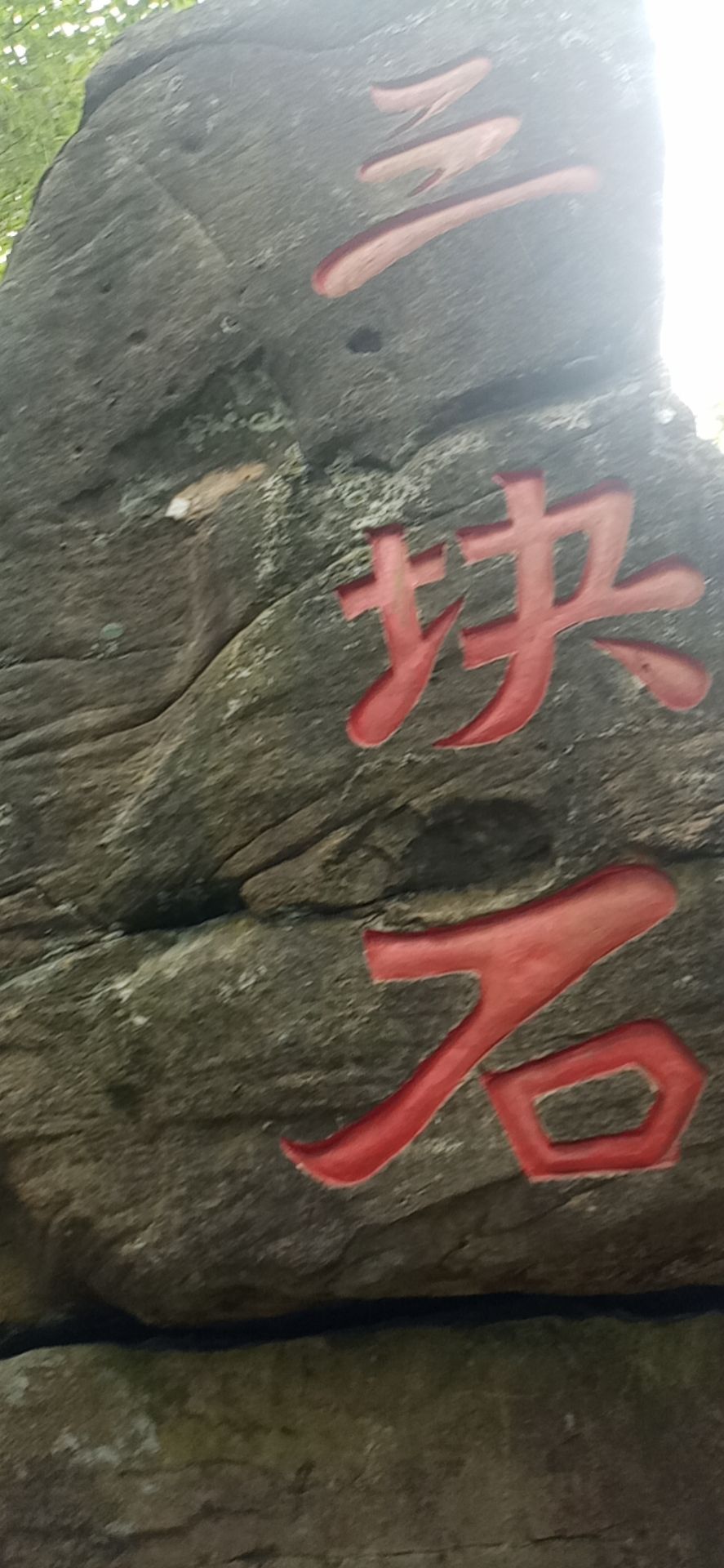 紫水乡龙头嘴森林公园旅行图片 3