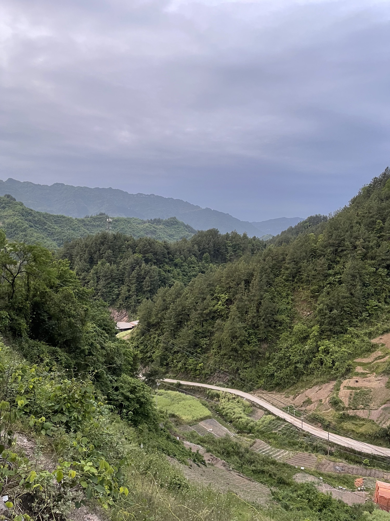 紫水乡龙头嘴森林公园旅行图片 2