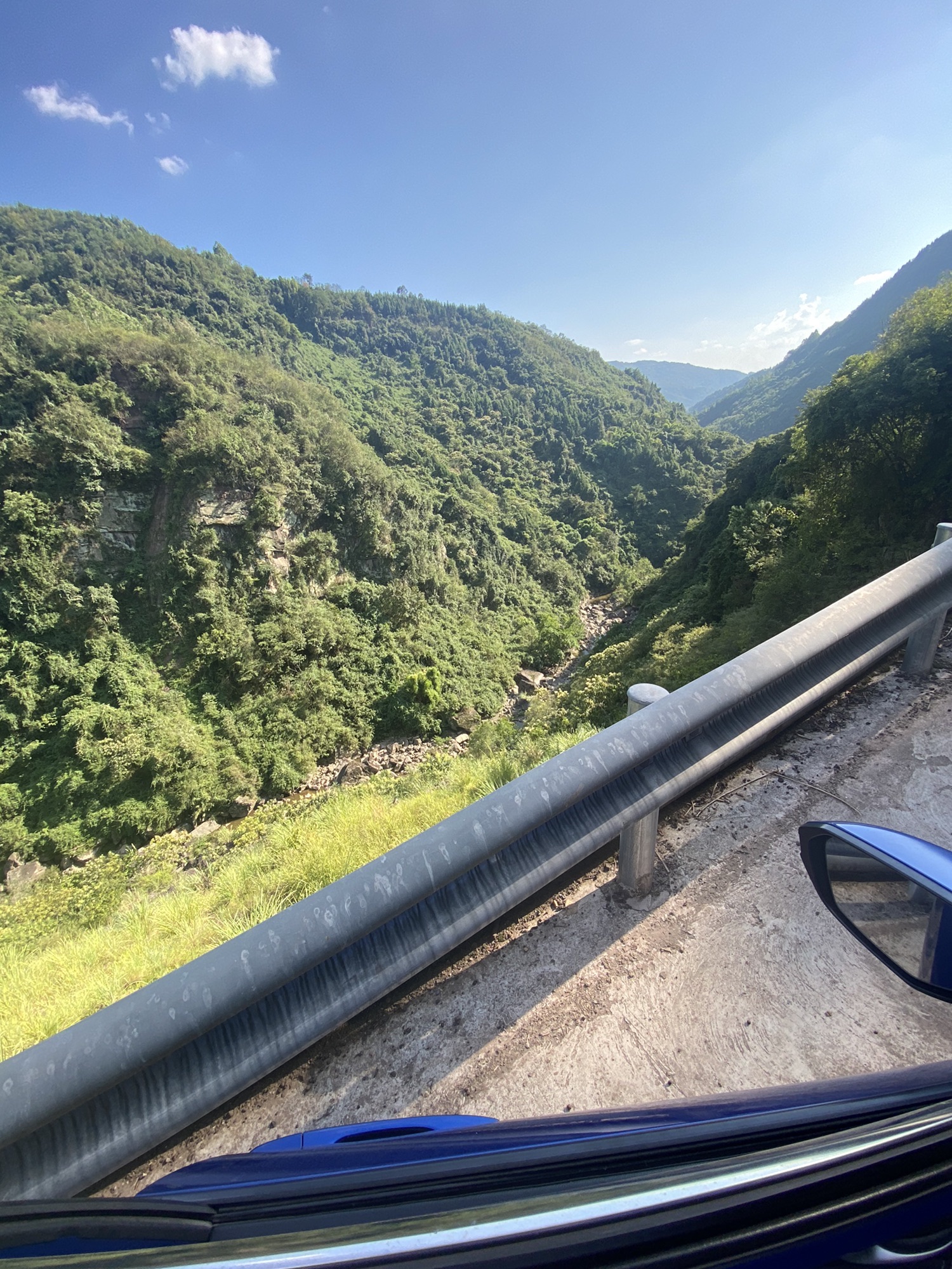 紫水乡龙头嘴森林公园旅行图片 3