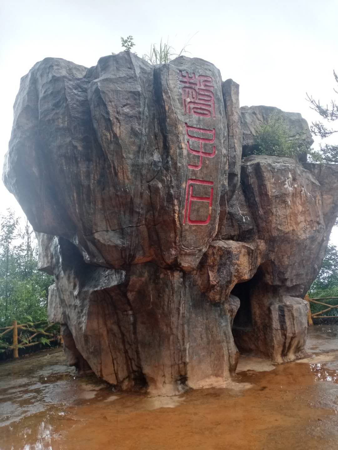 紫水乡龙头嘴森林公园旅行图片 1