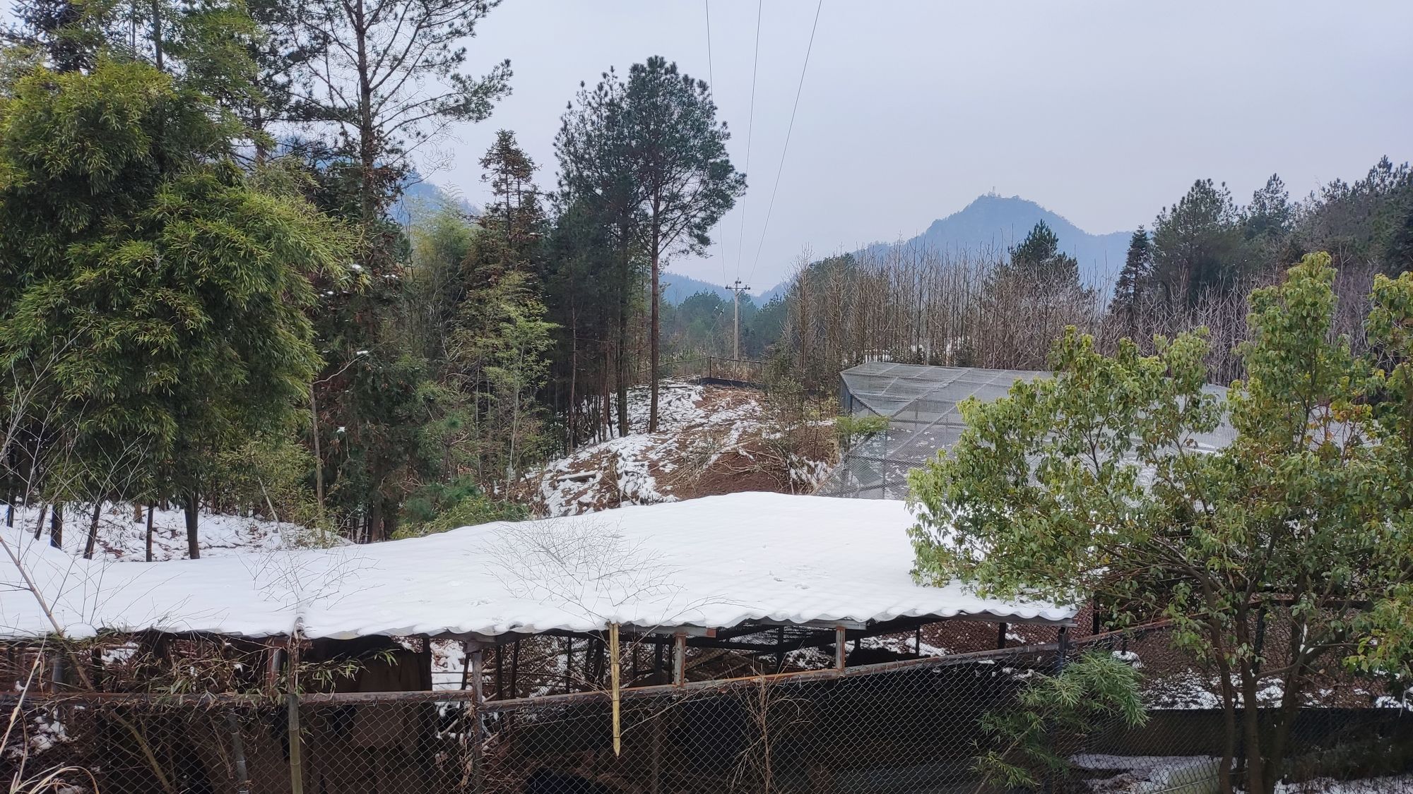 紫水乡龙头嘴森林公园旅行图片 2