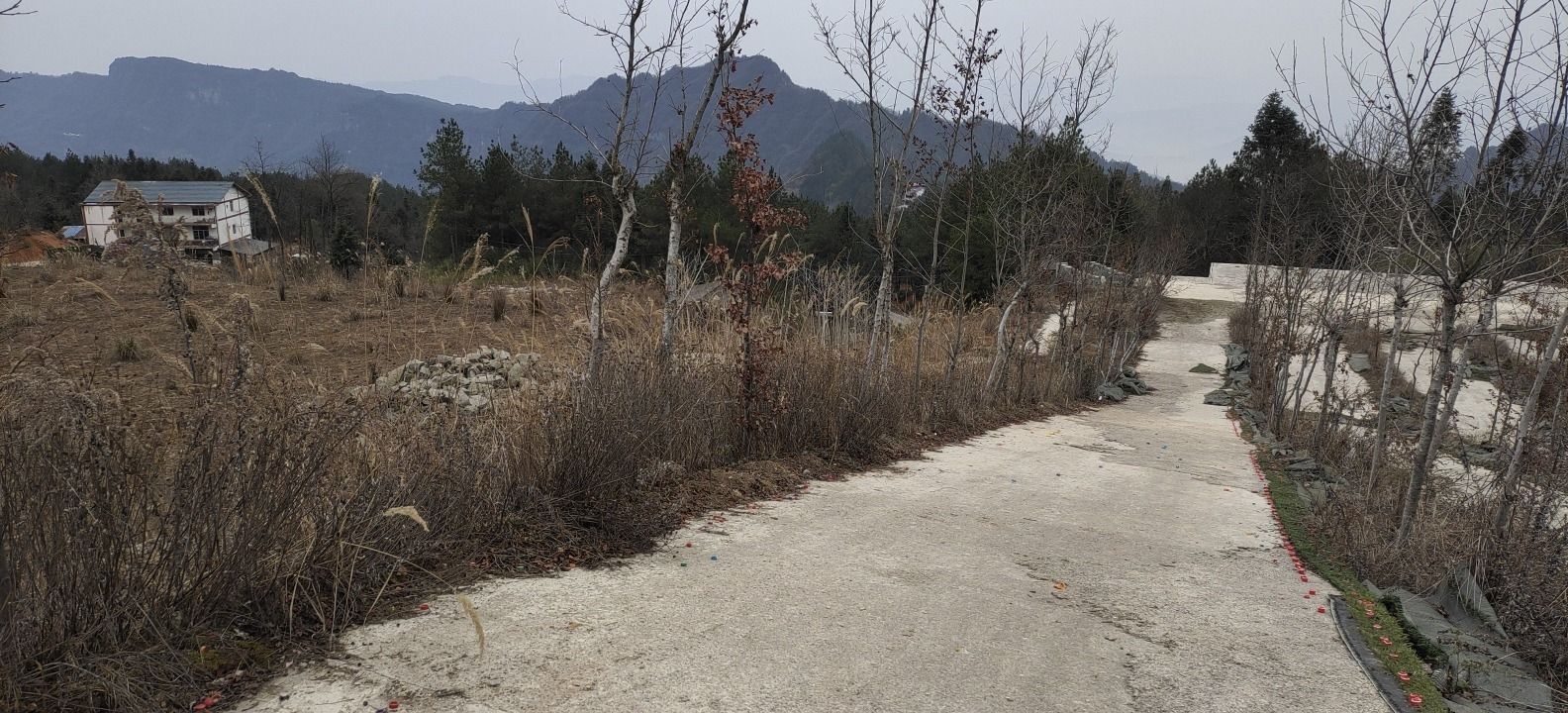 紫水乡龙头嘴森林公园旅行图片 2