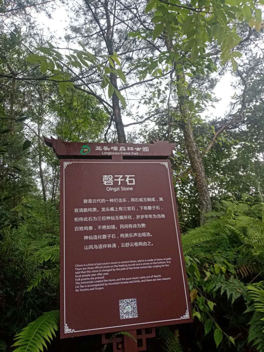 紫水乡龙头嘴森林公园旅行图片 2