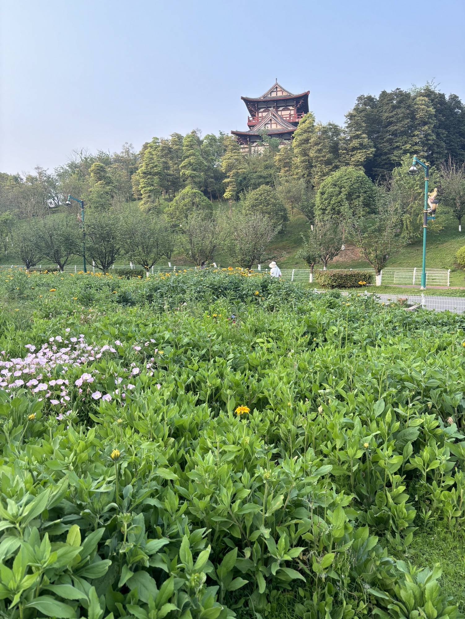 凤凰湖旅游景区旅行图片 2