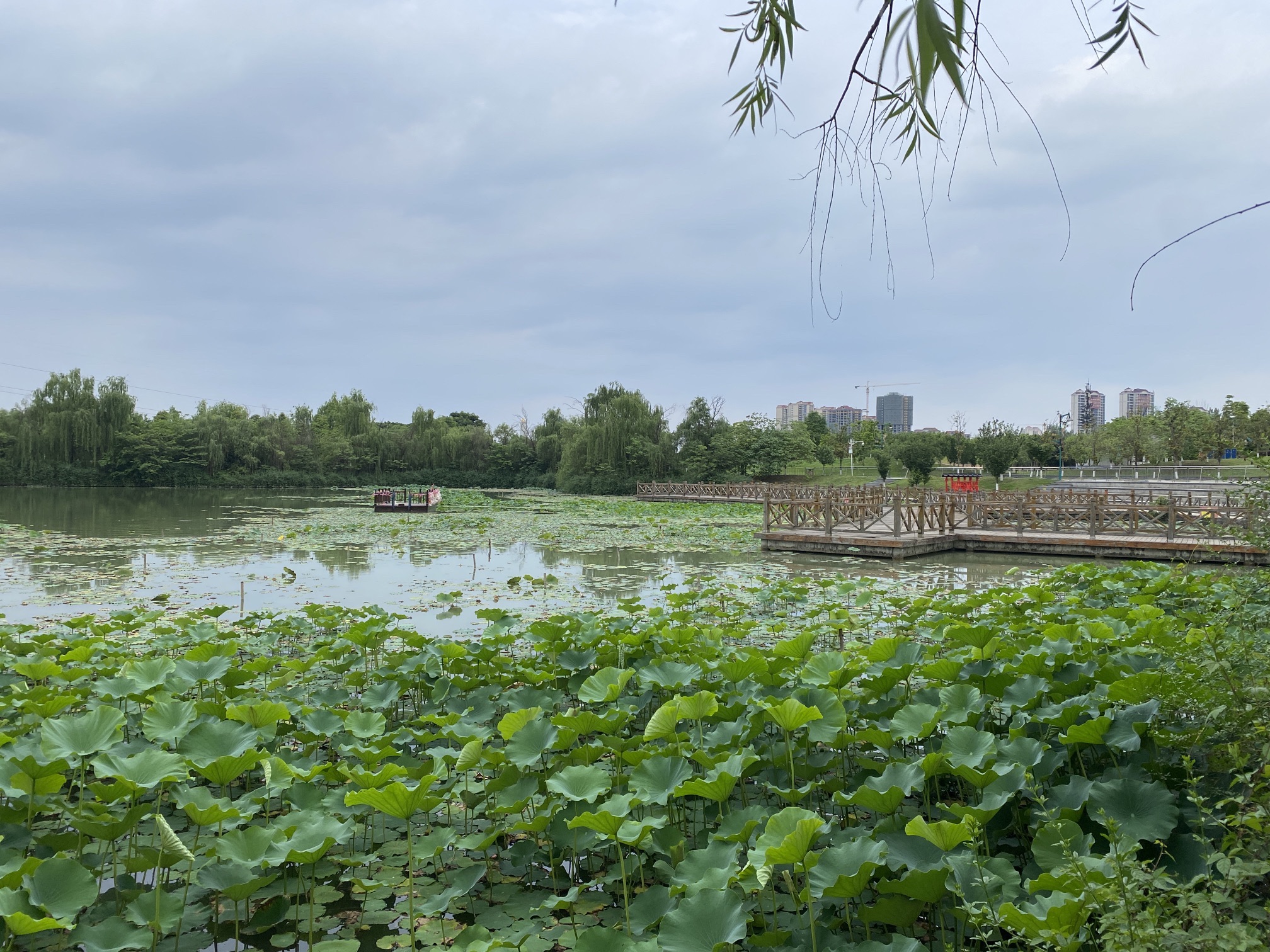凤凰湖旅游景区旅行图片 1