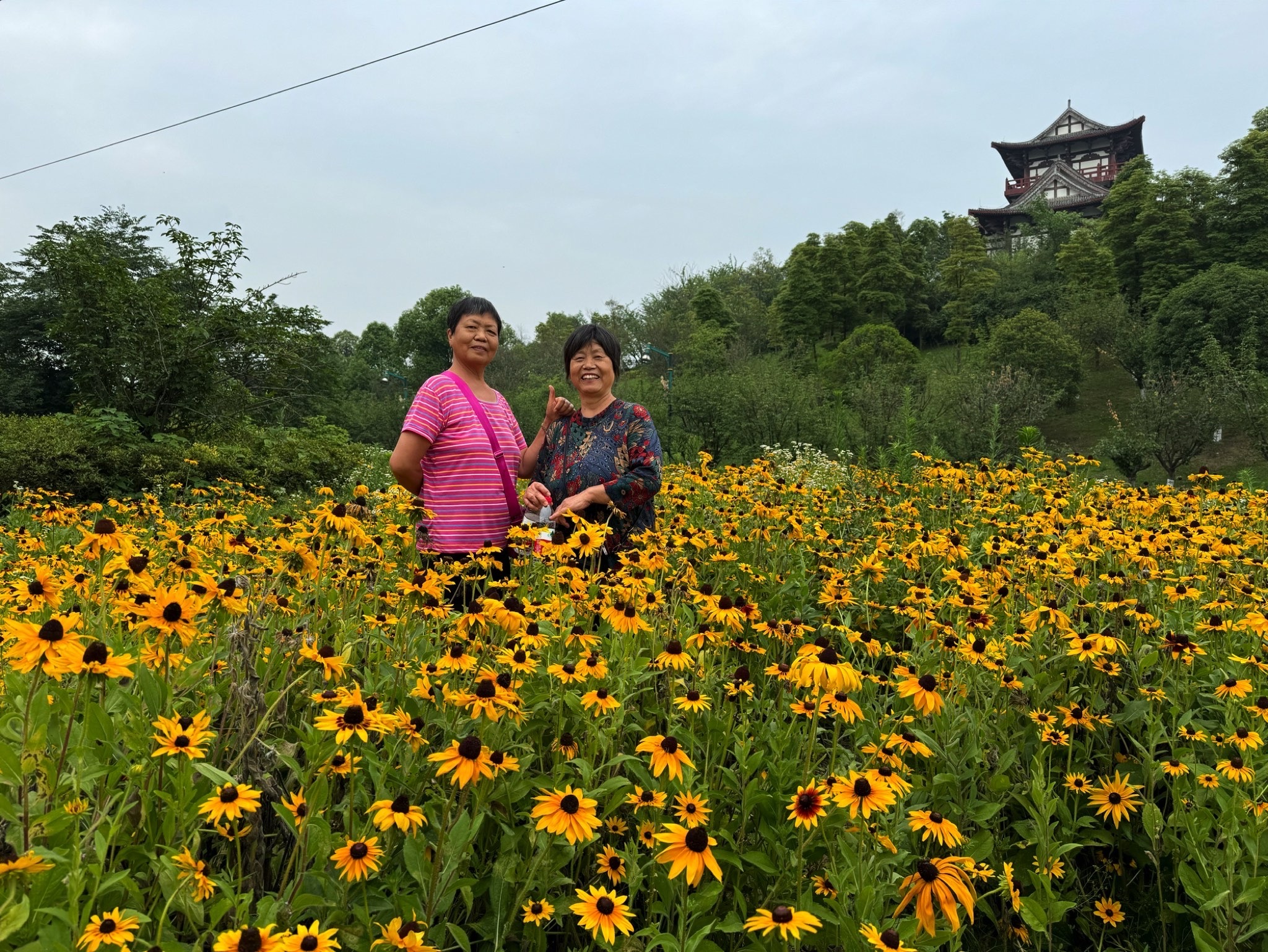 凤凰湖旅游景区旅行图片 2