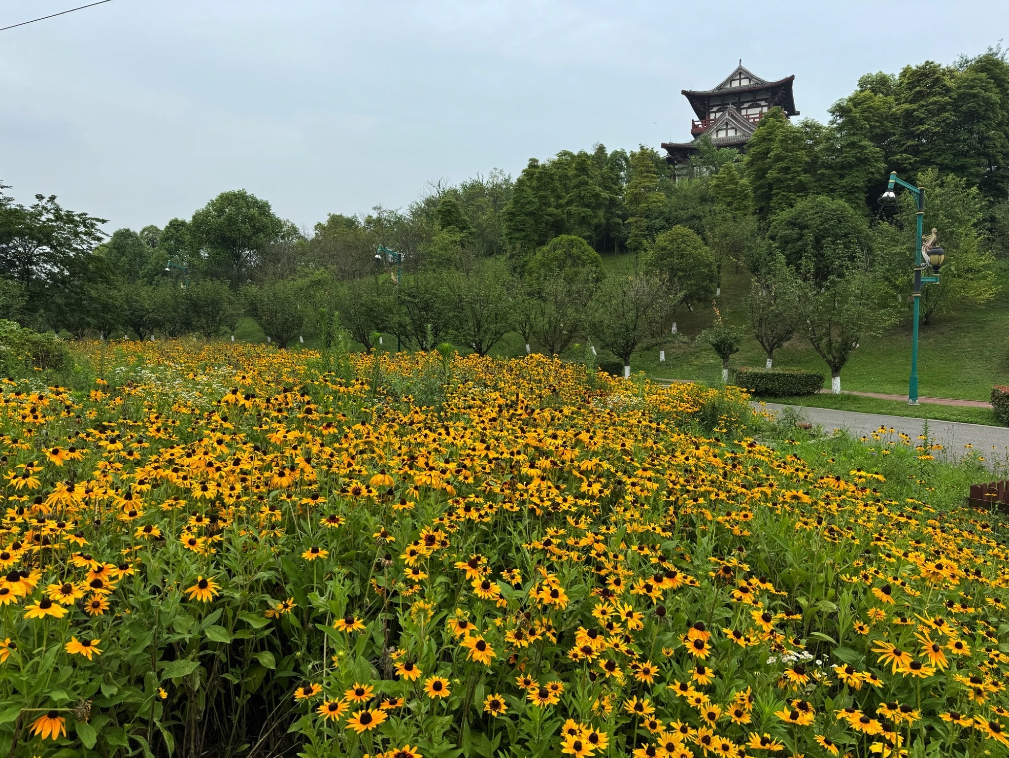 凤凰湖旅游景区旅行图片 1