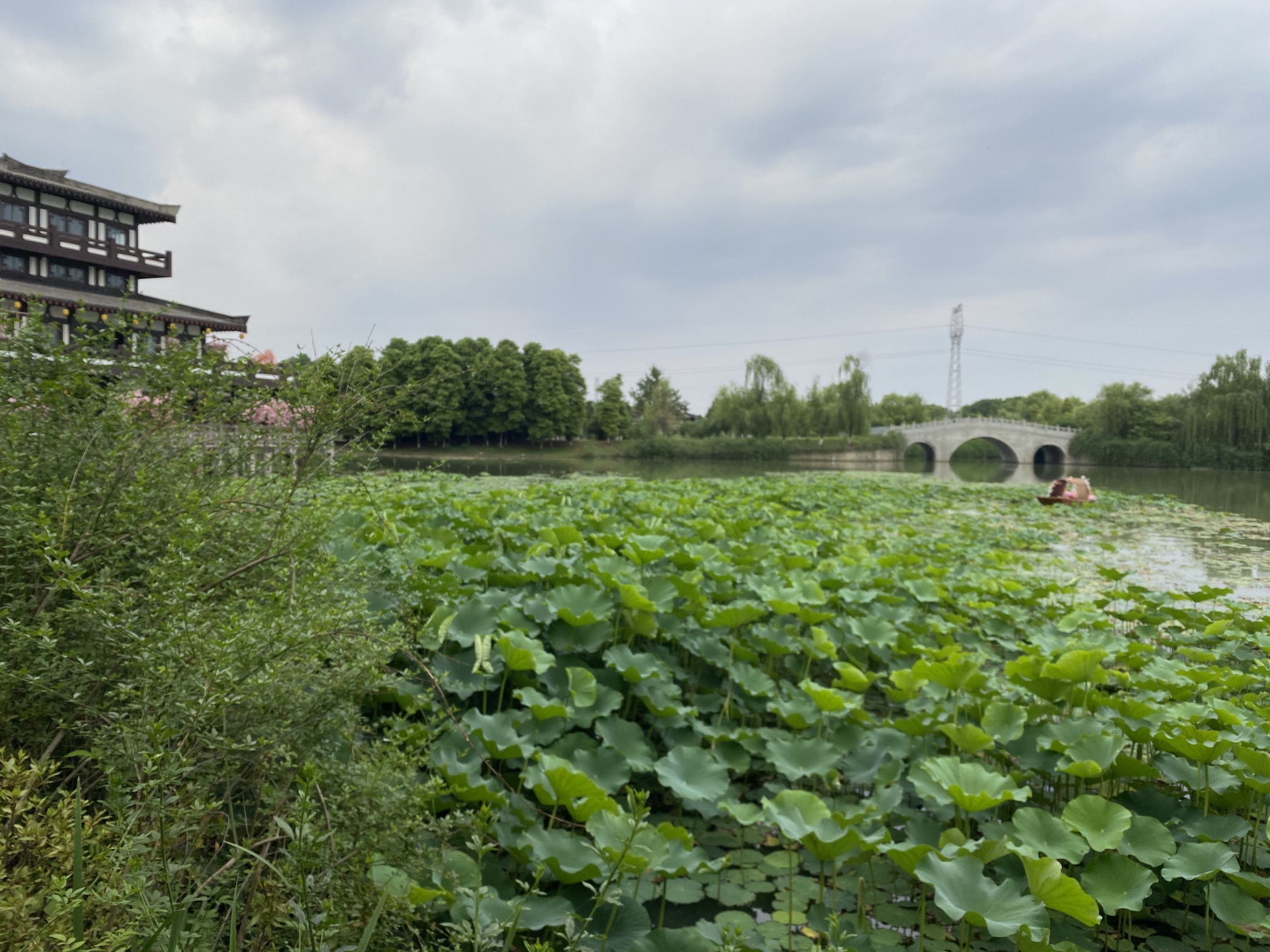凤凰湖旅游景区旅行图片 3