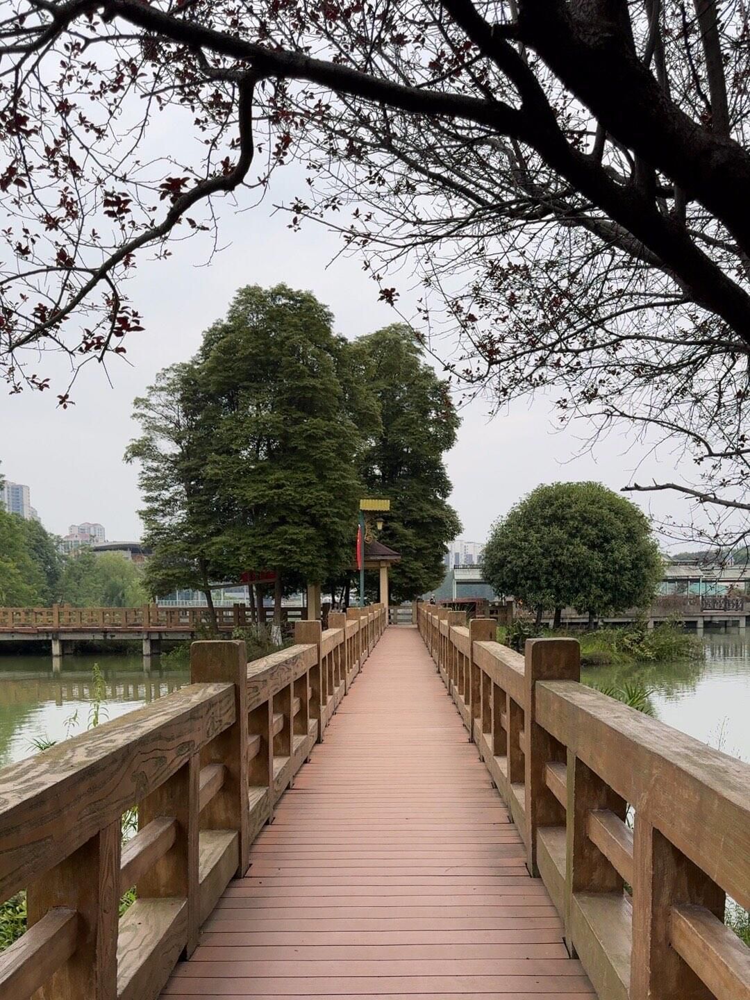 凤凰湖旅游景区旅行图片 1