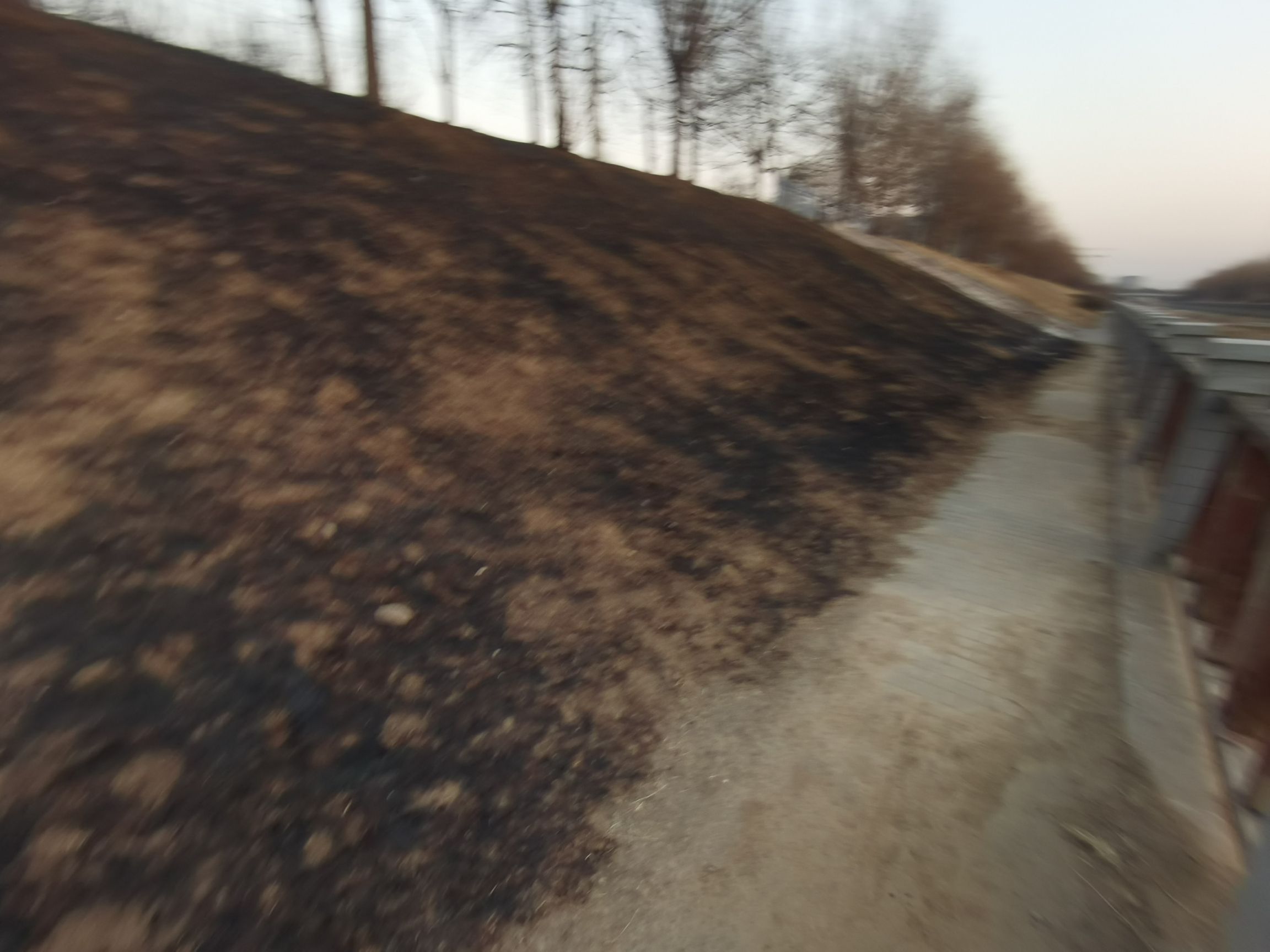 龙道河文化广场旅行图片 2