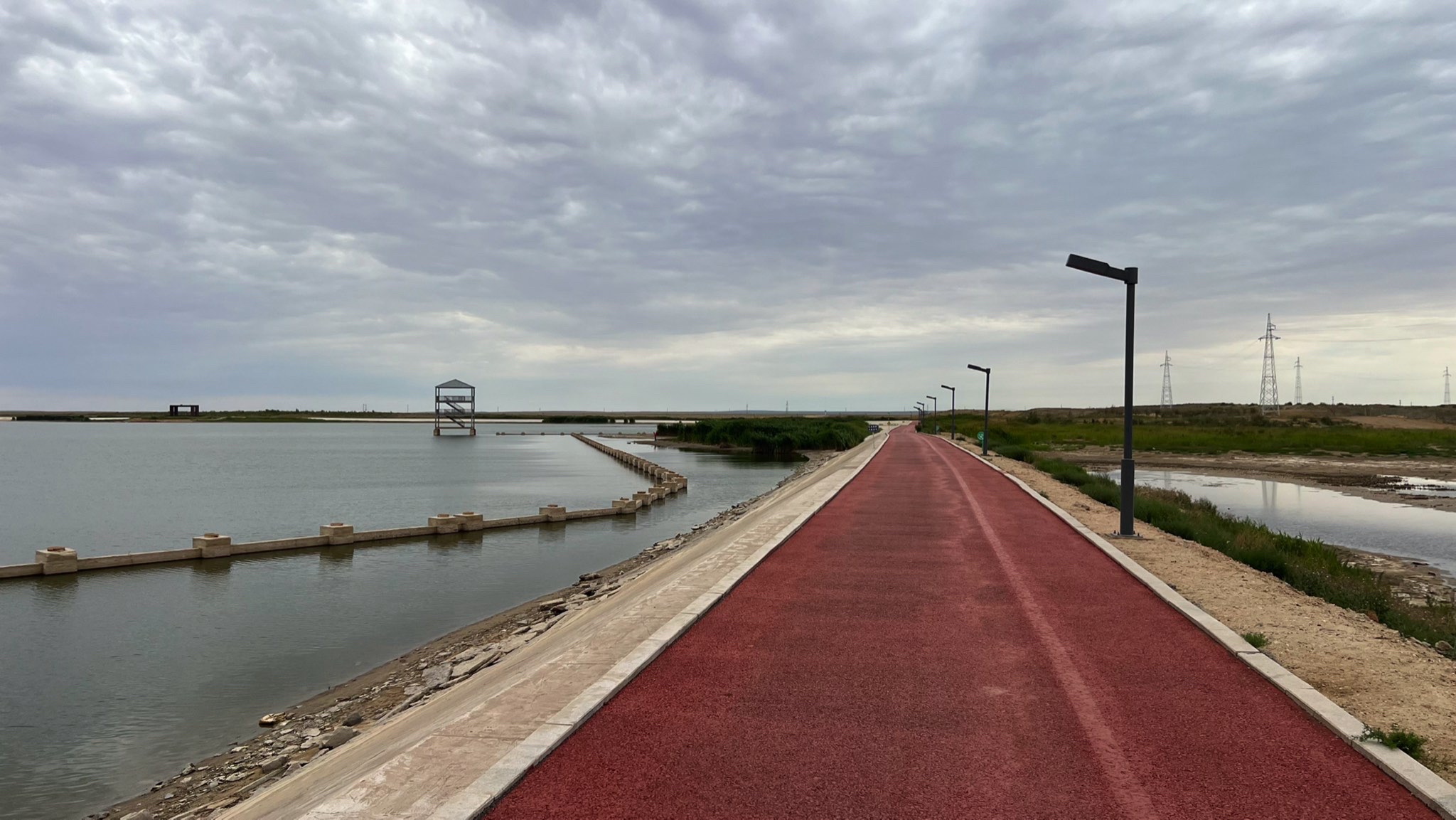 天鹅湖湿地公园旅行图片 3