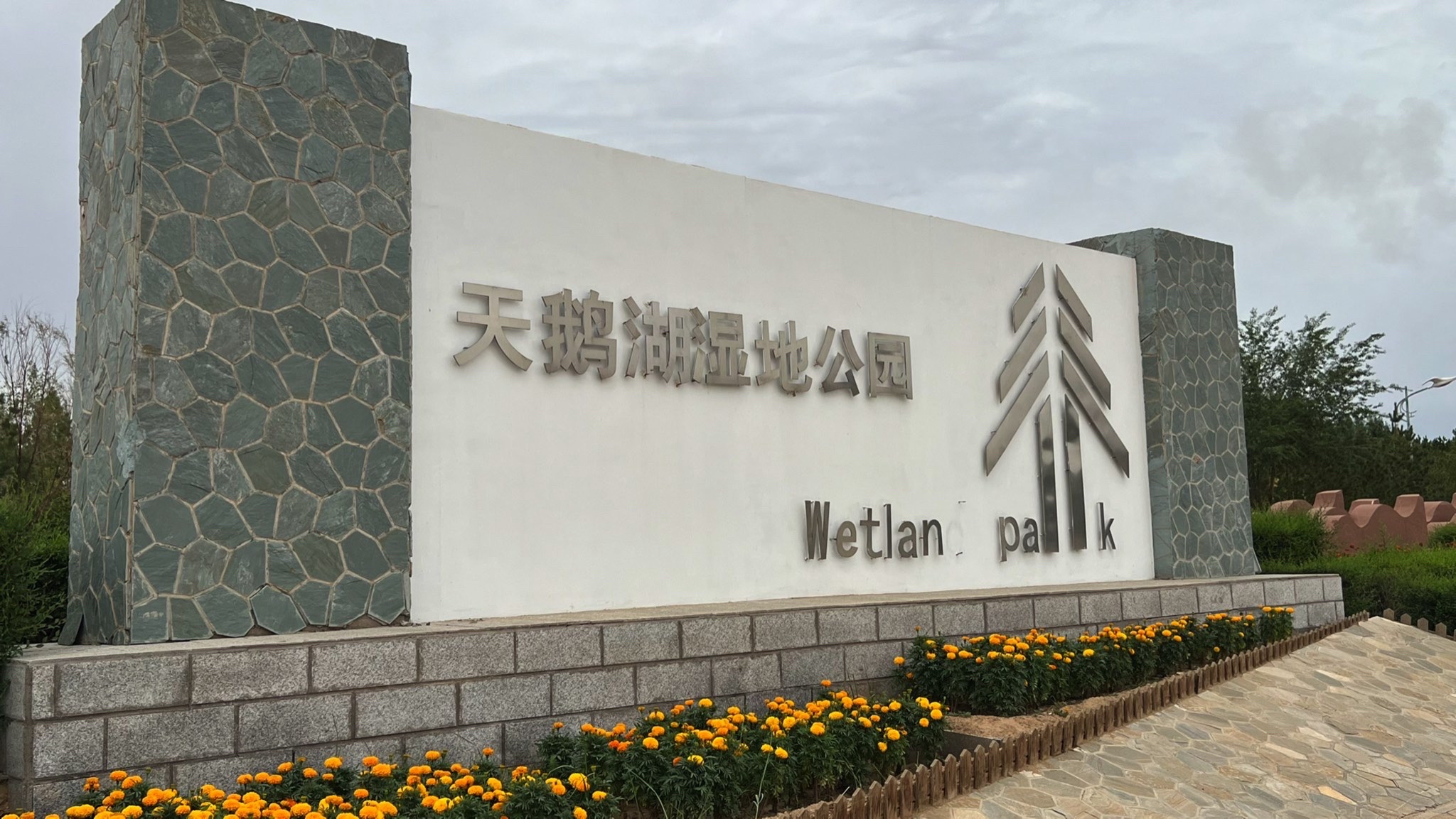 天鹅湖湿地公园旅行图片 1