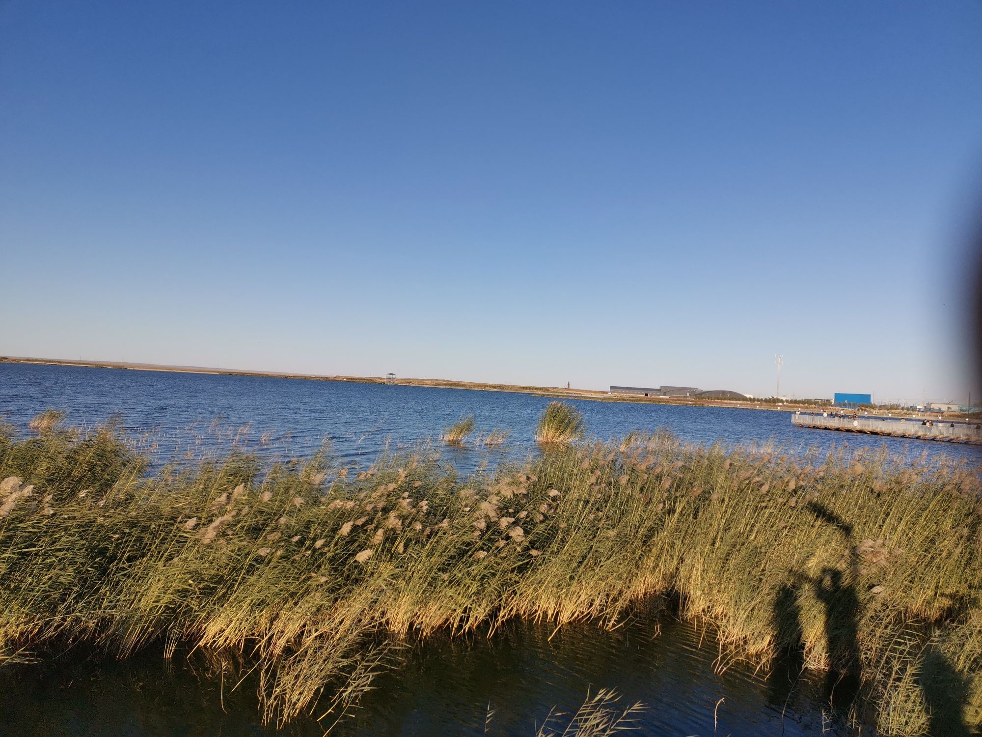 天鹅湖湿地公园旅行图片 1
