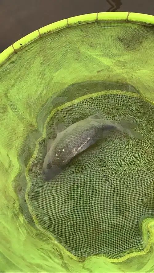 斜坡堰水库旅行图片 1