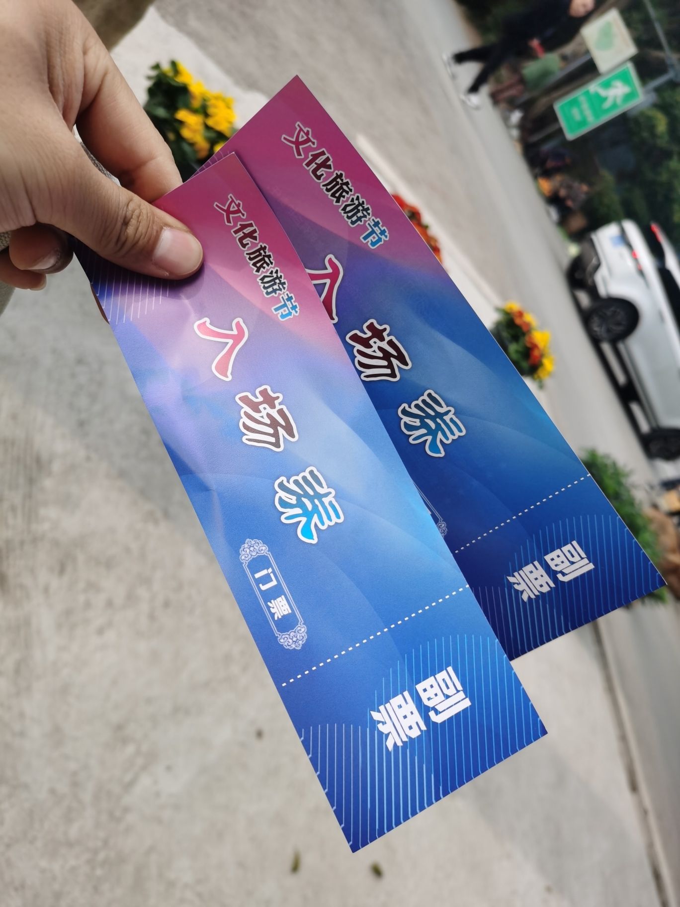 凤凰花海旅行图片 1