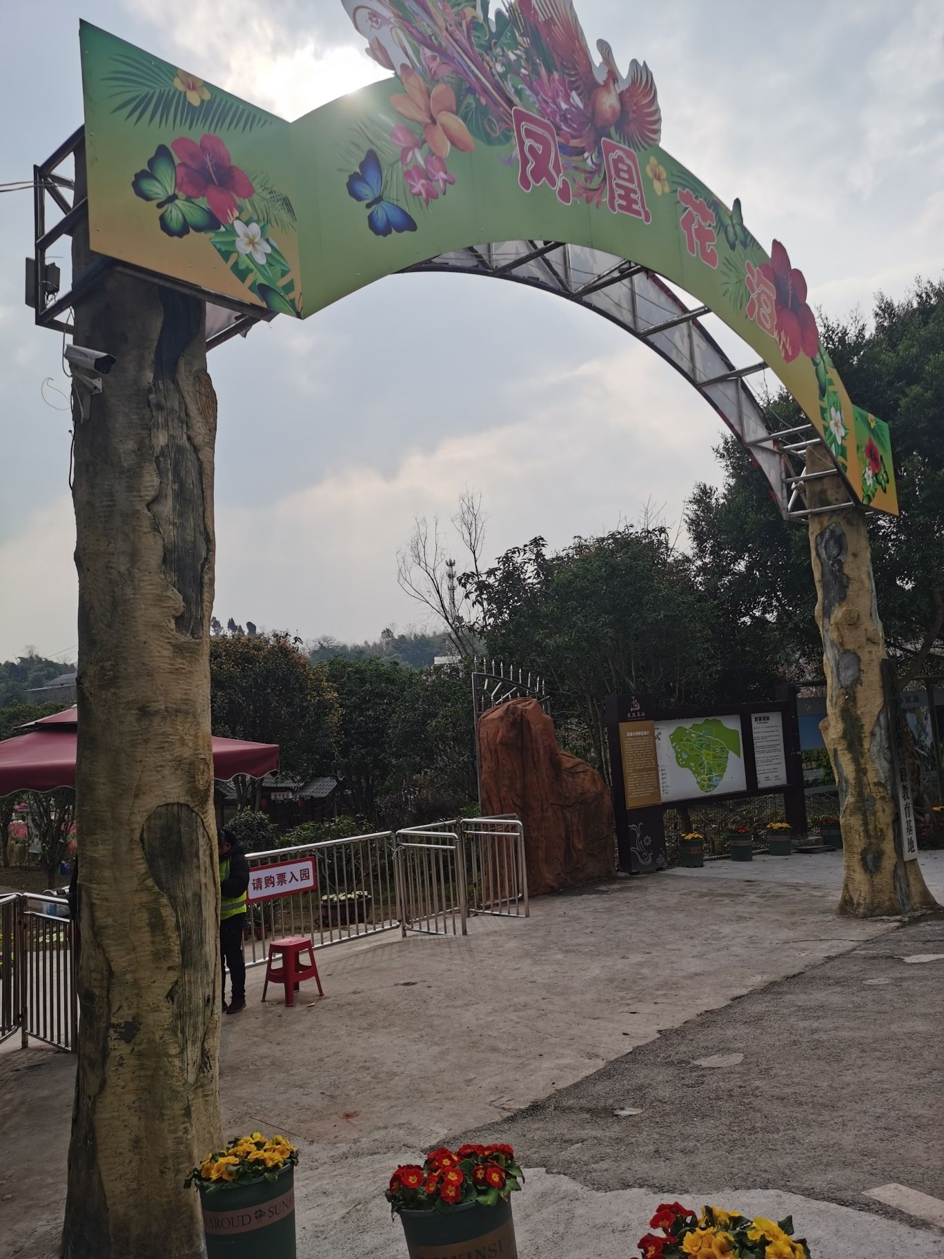 凤凰花海旅行图片 2