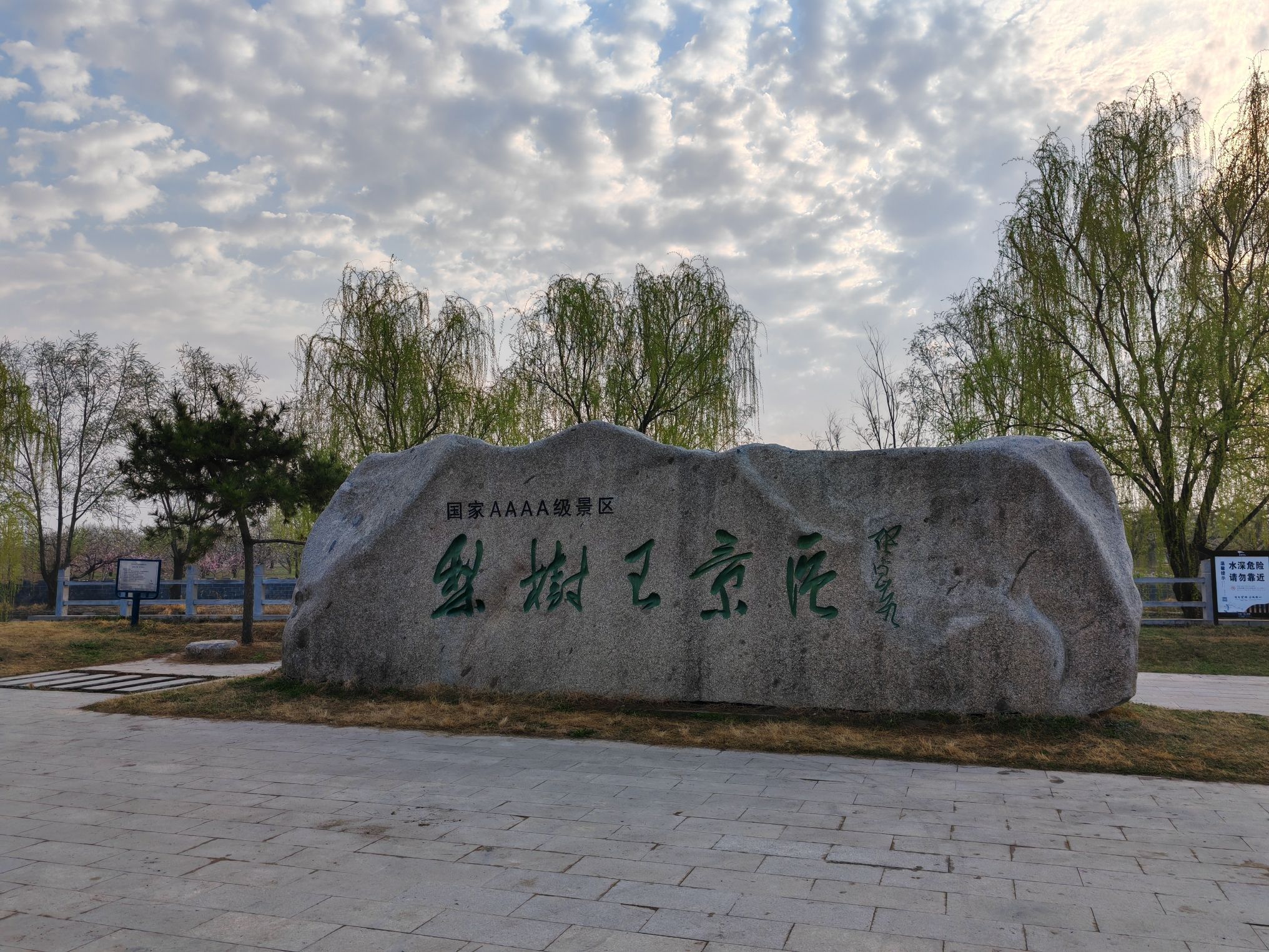 砀山梨树王景区旅行图片 1
