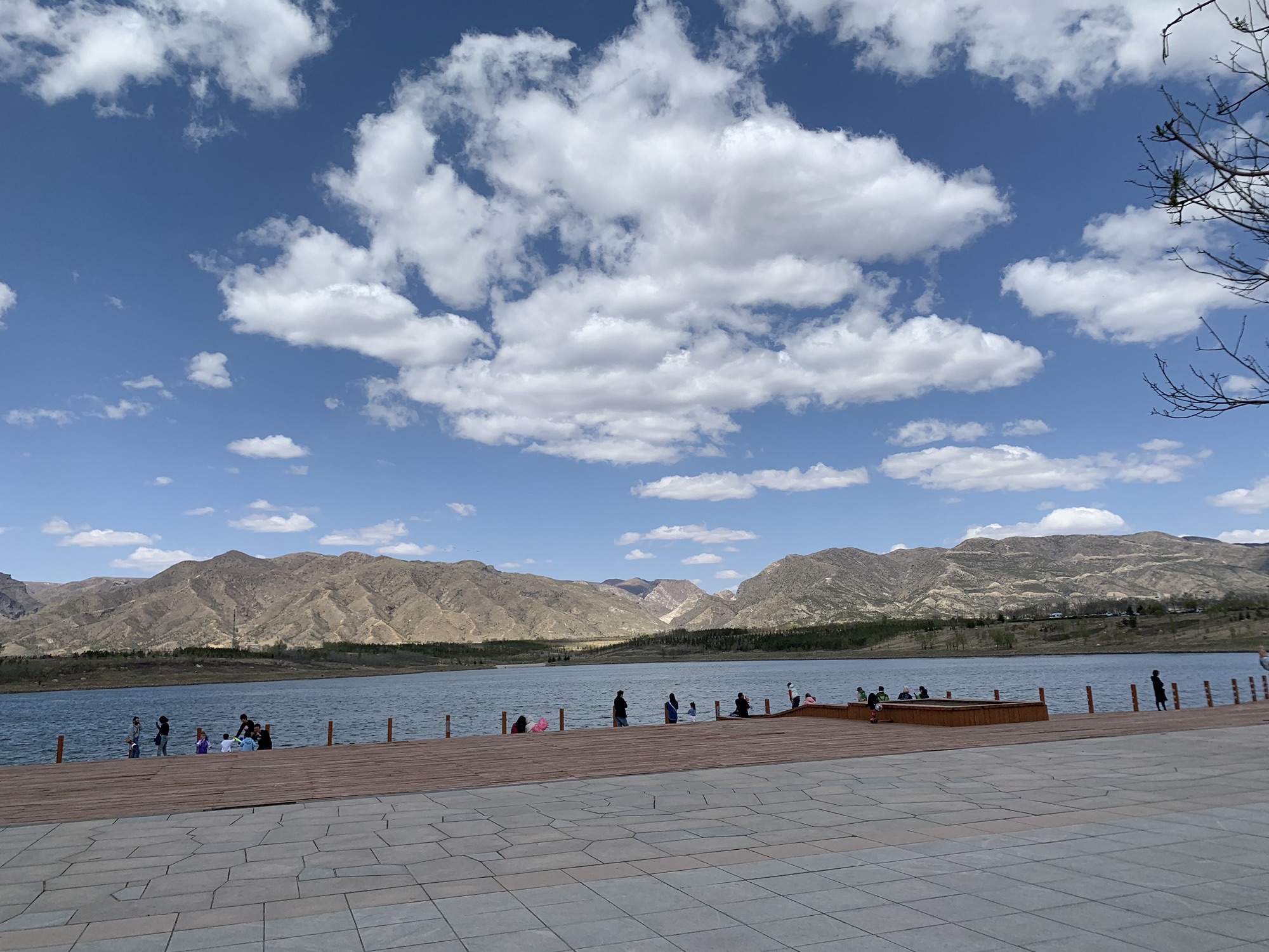 哈拉沁生态公园旅行图片 2