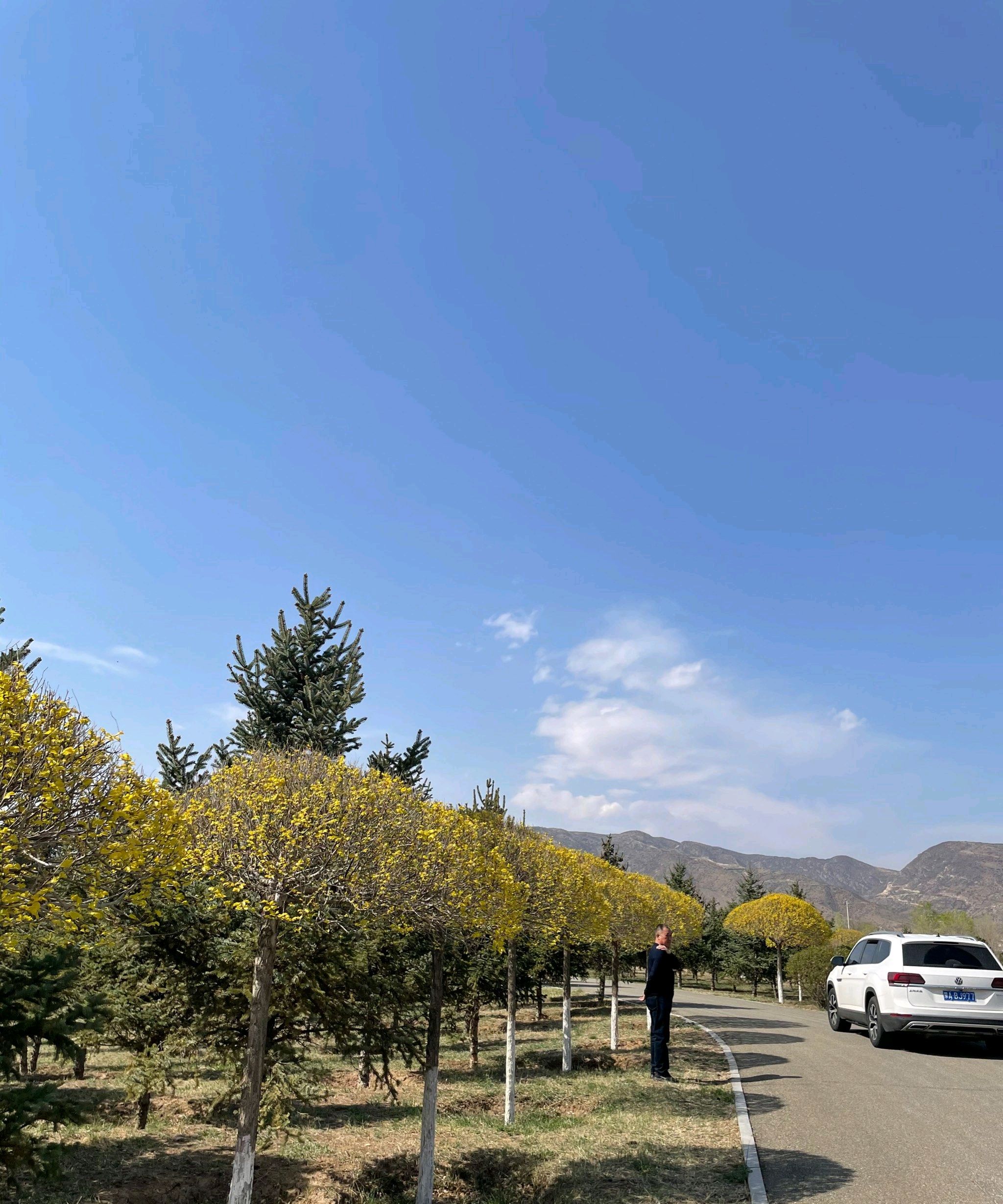 哈拉沁生态公园旅行图片 3