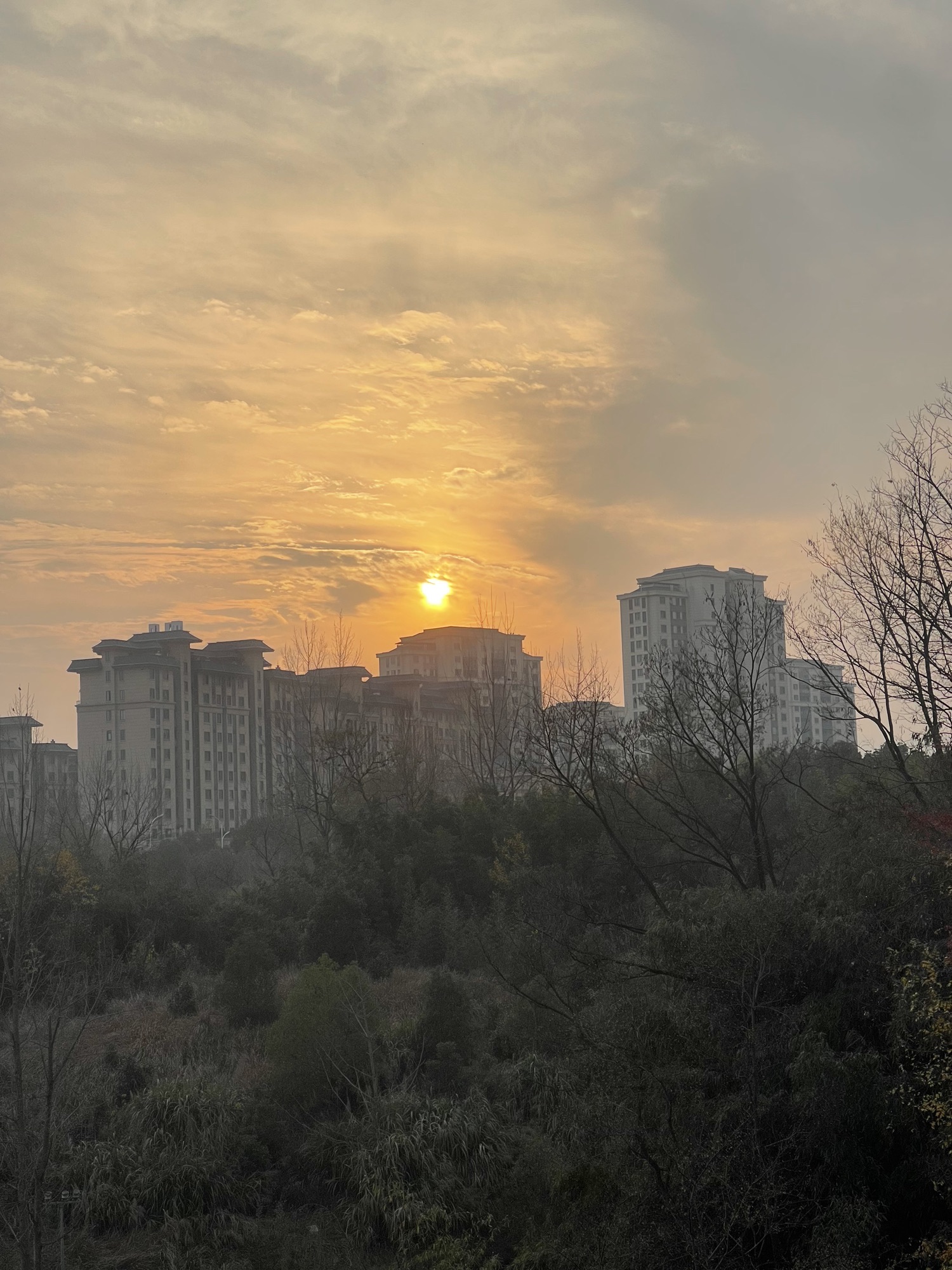 二龙岗公园旅行图片 1