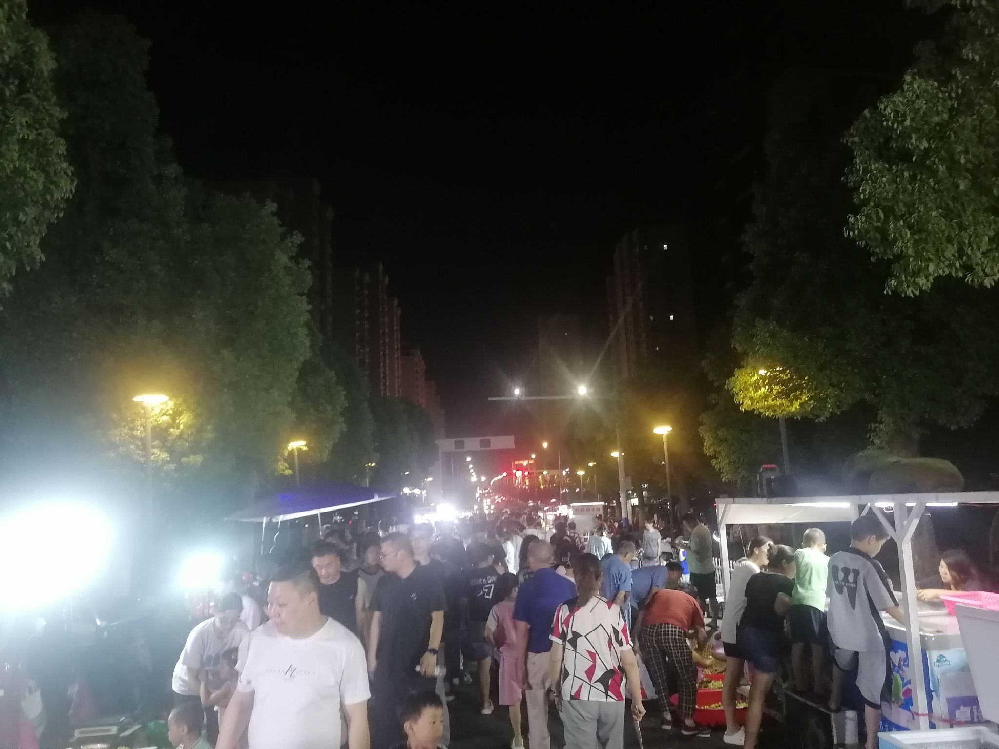 二龙岗公园旅行图片 3