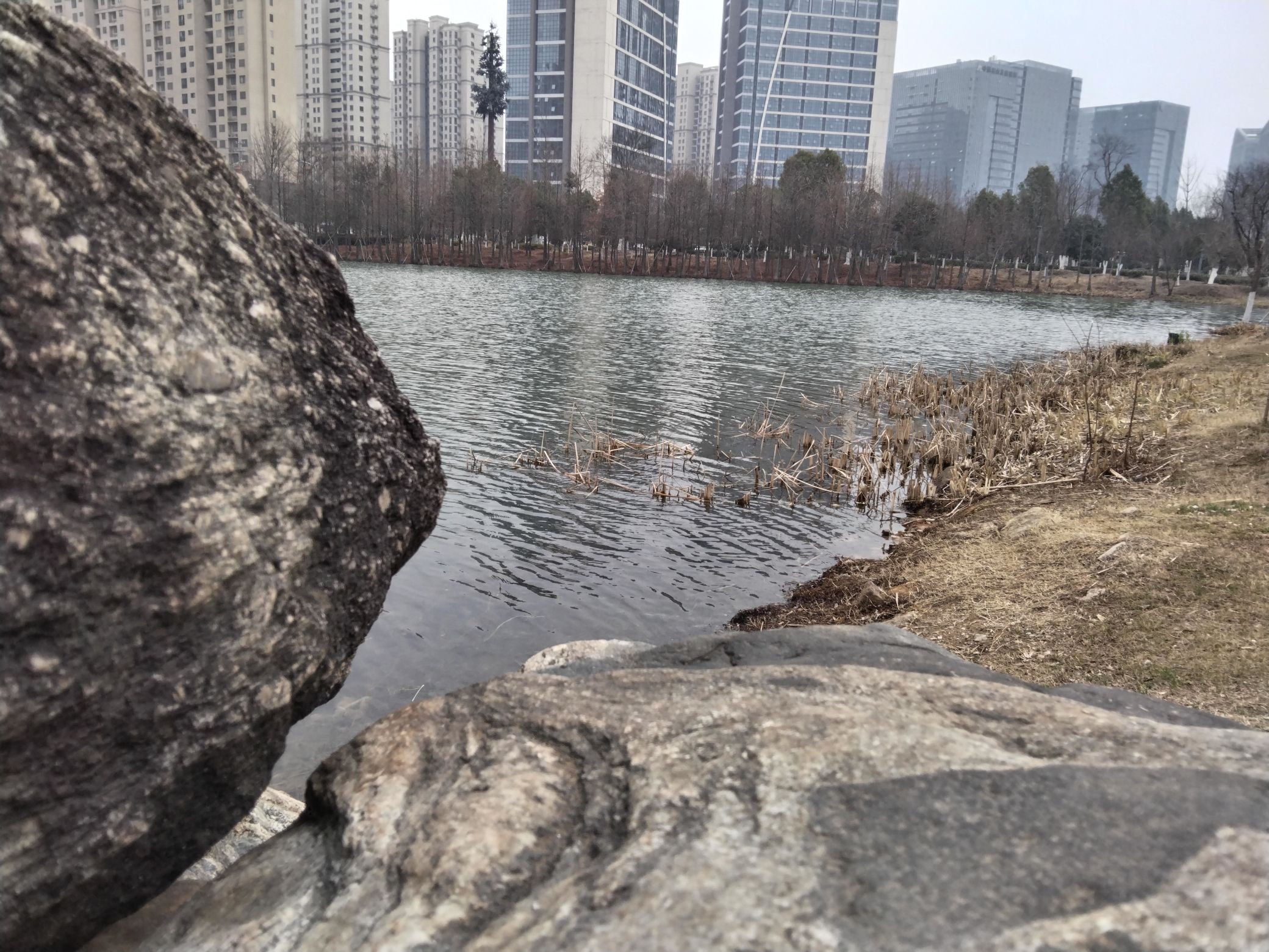 二龙岗公园旅行图片 1