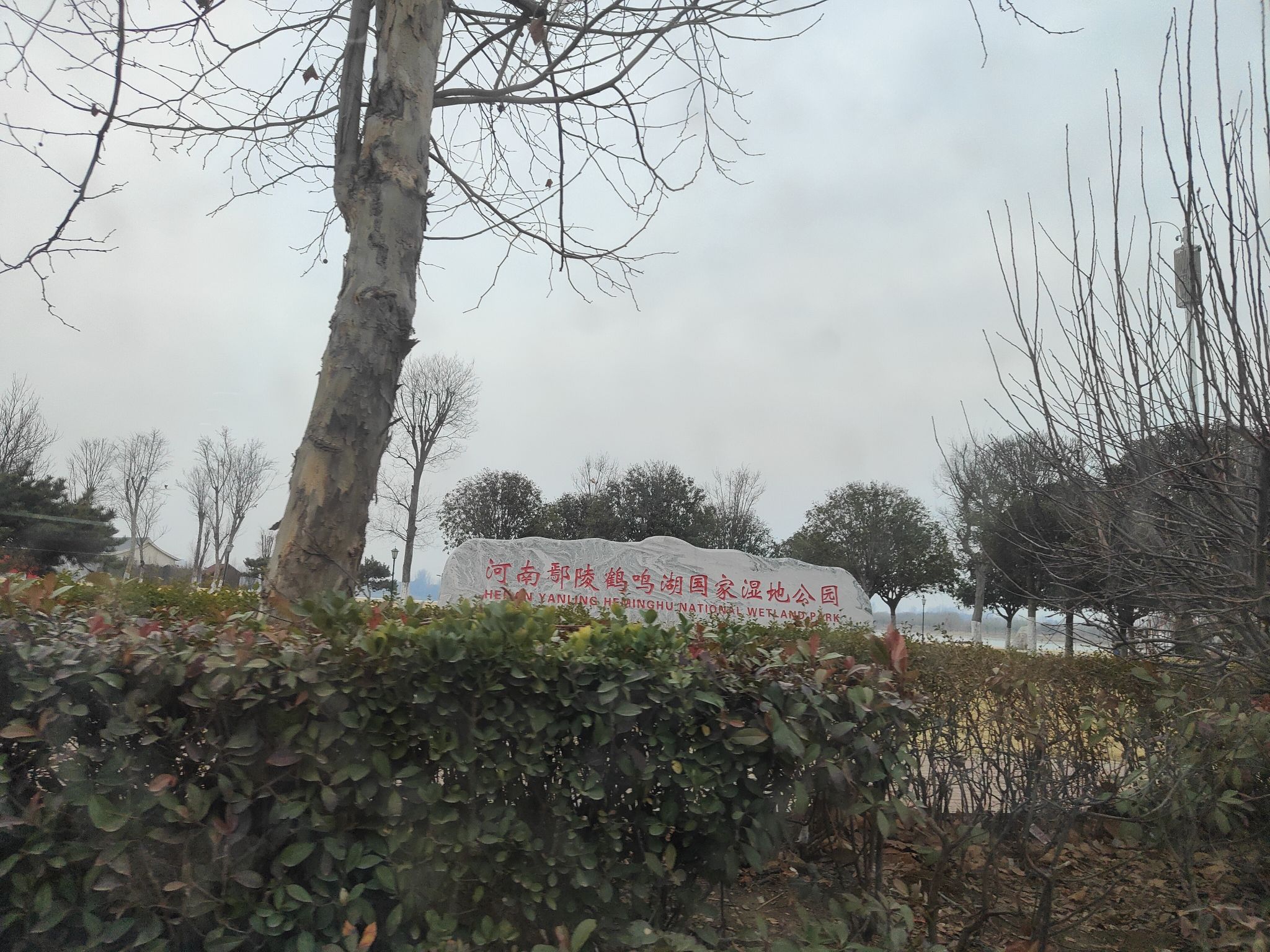 鄢陵鹤鸣湖旅行图片 1